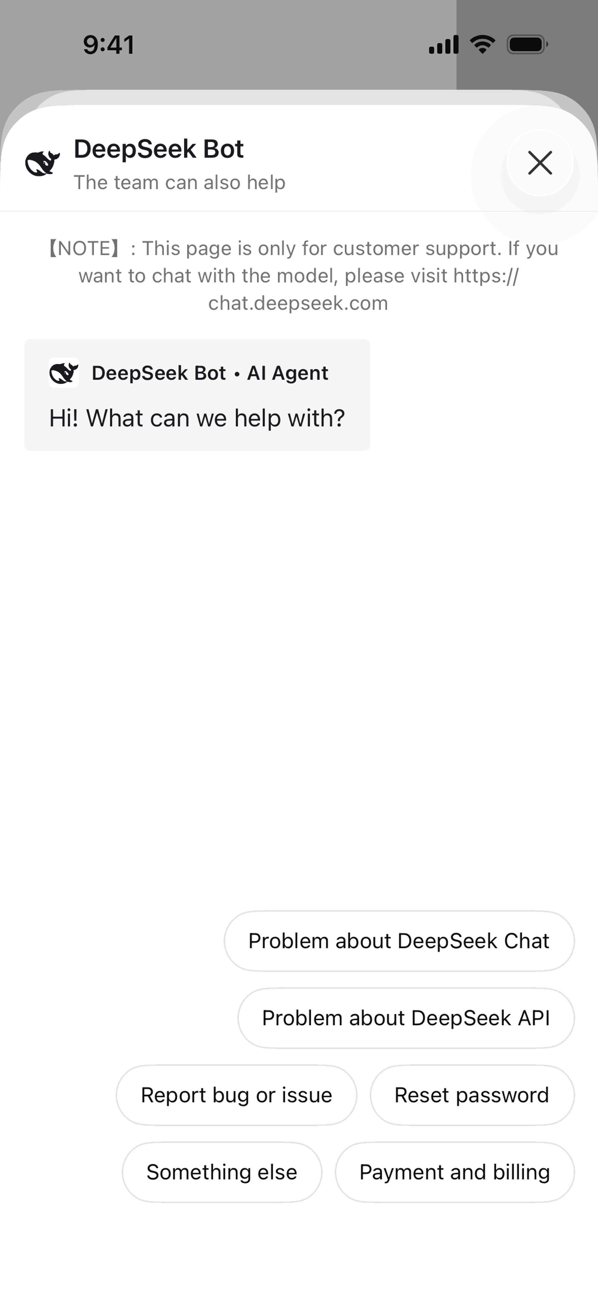 DeepSeek iOS UI screenshot 17