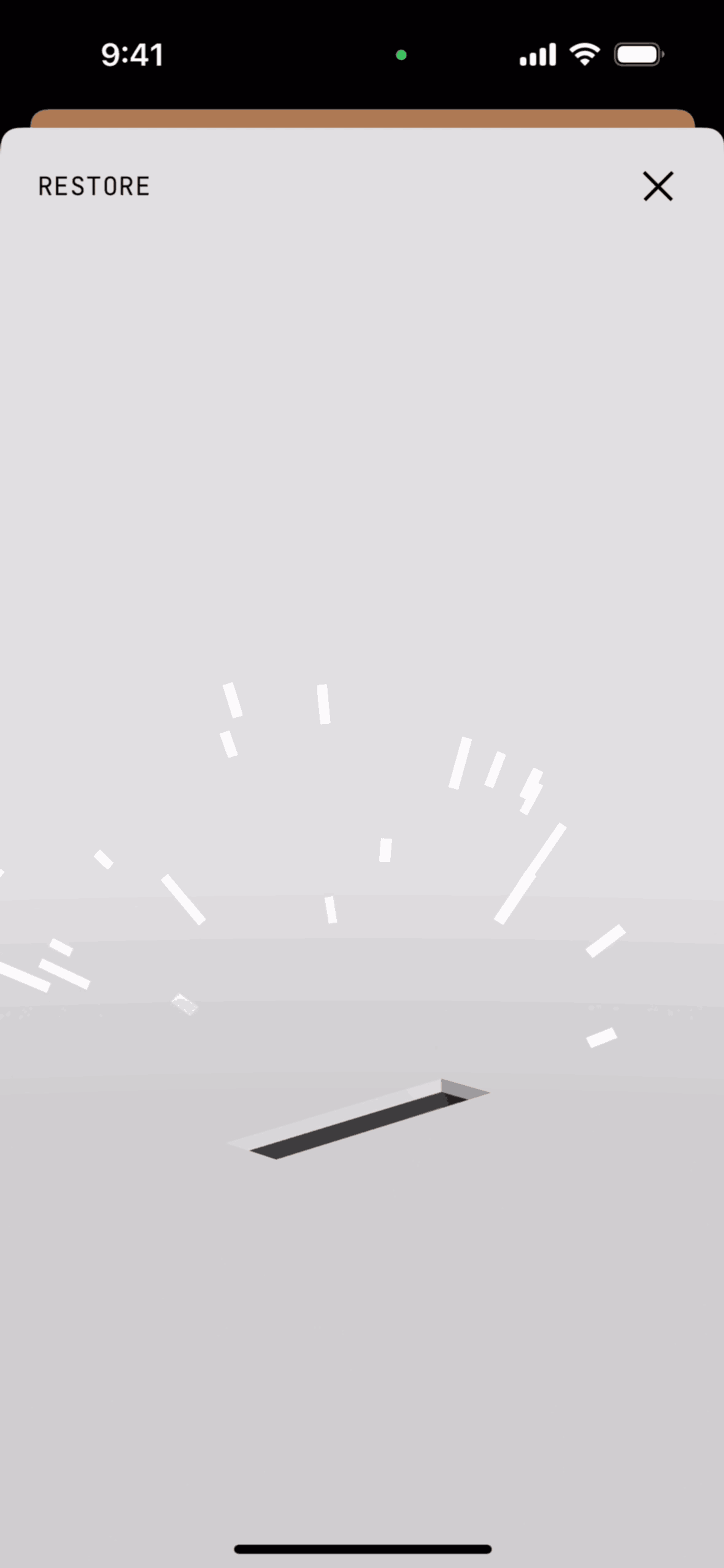 (Not Boring) Camera iOS UI screenshot 23