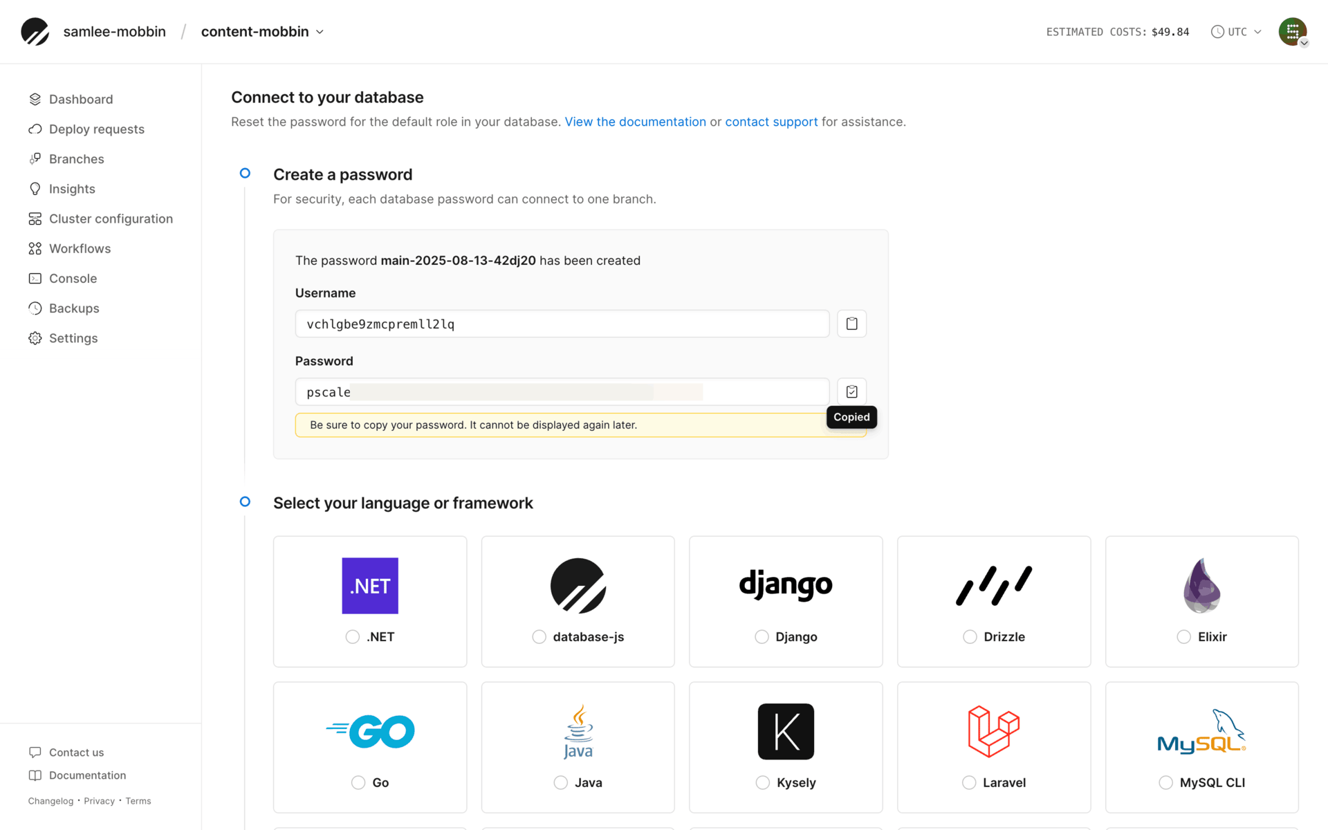 PlanetScale Web UI screenshot 20