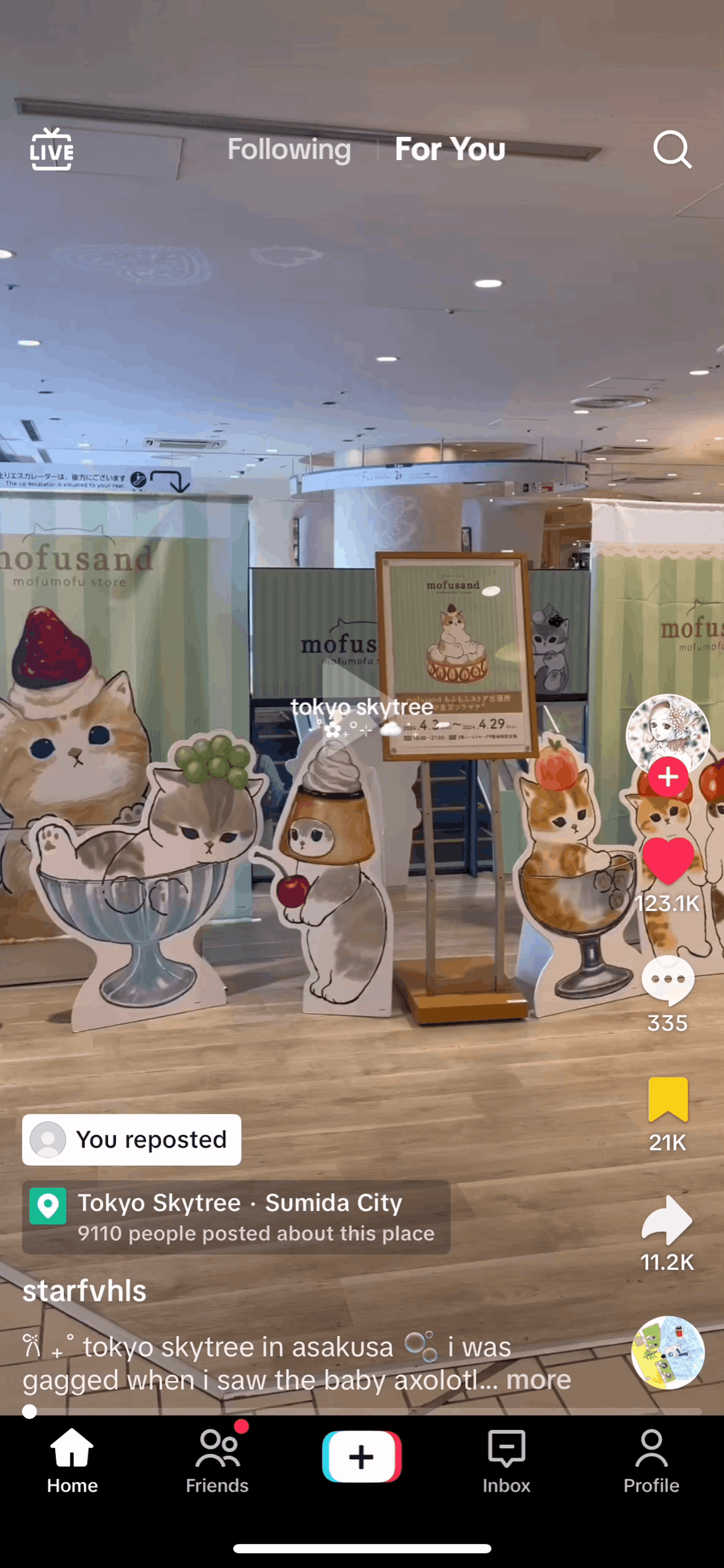 TikTok iOS UI screenshot 14