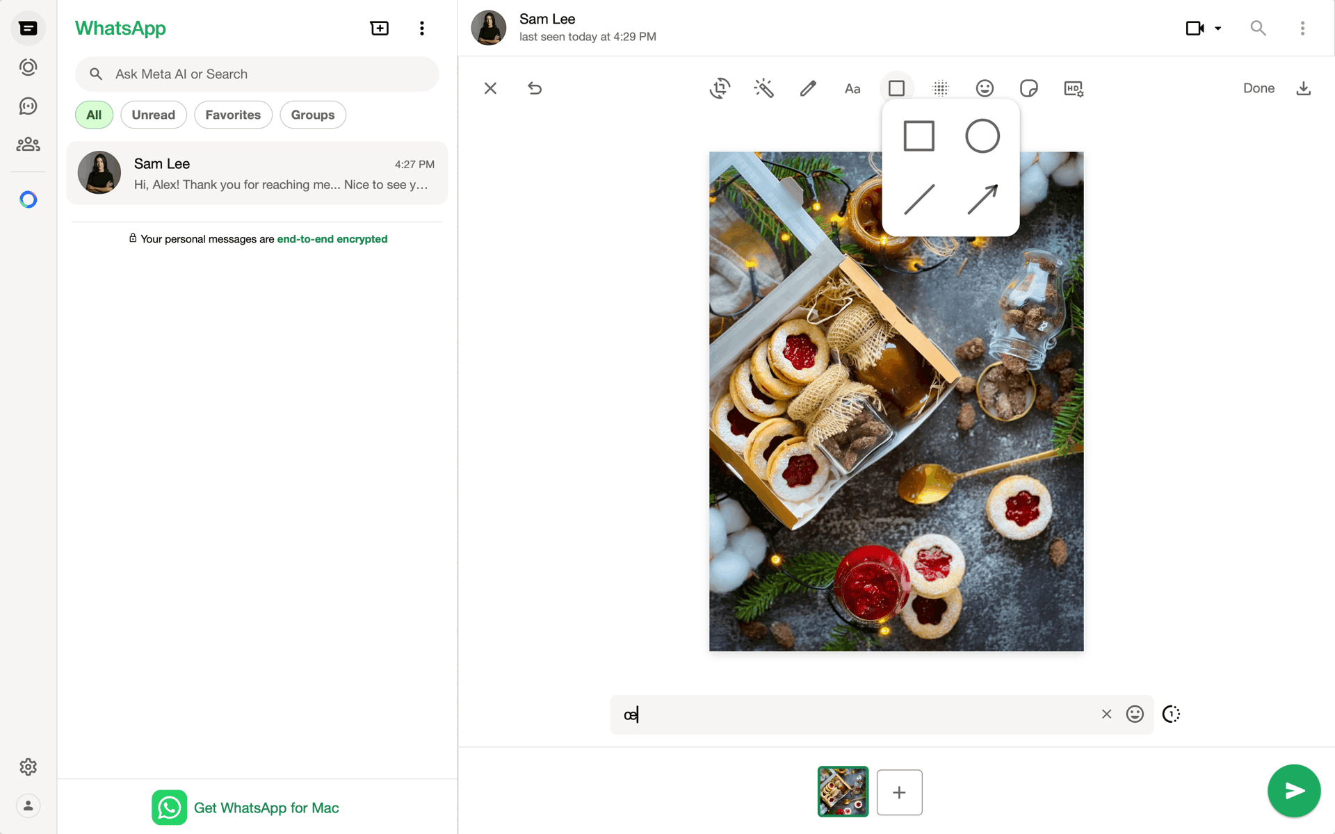 WhatsApp Web UI screenshot 12