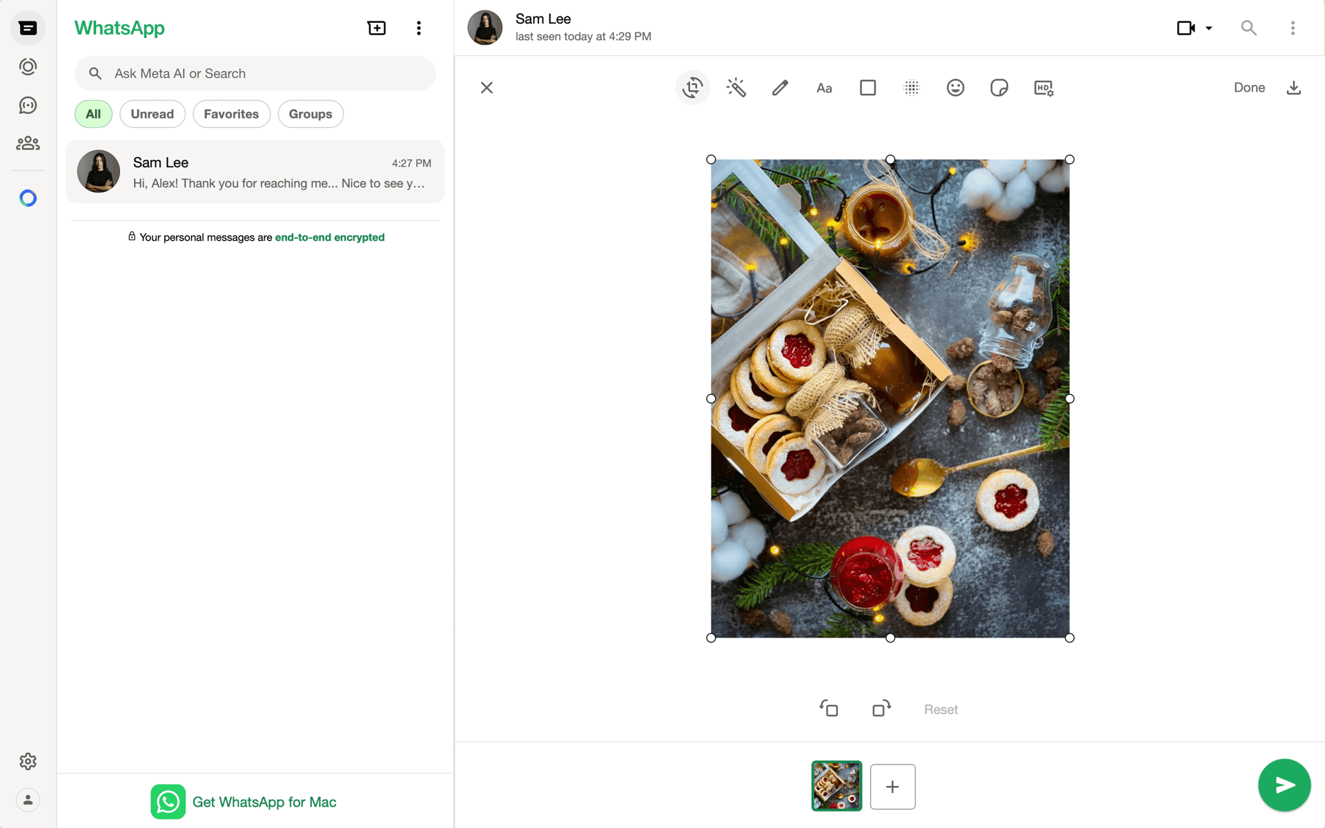 WhatsApp Web UI screenshot 13