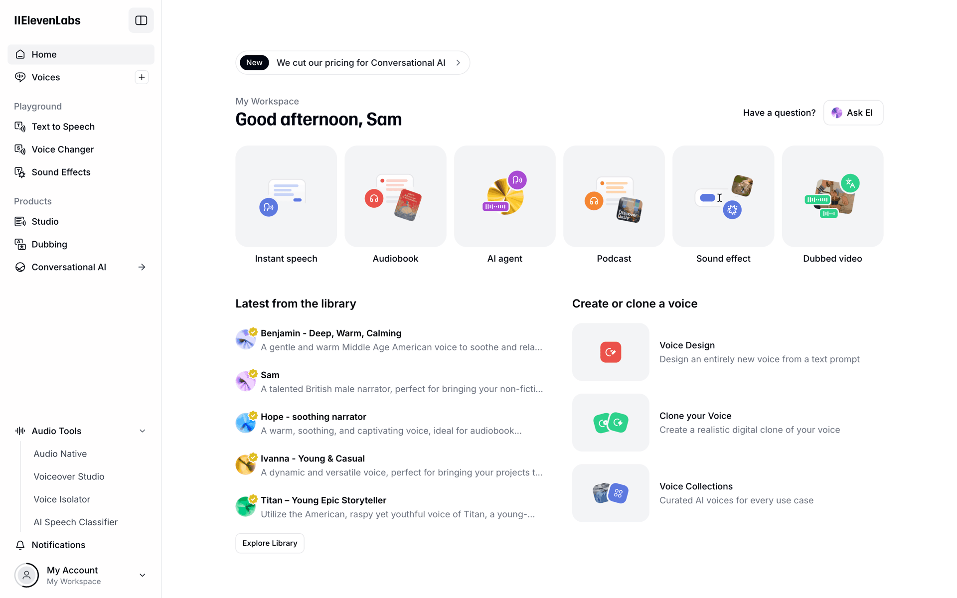 ElevenLabs Web UI screenshot 13