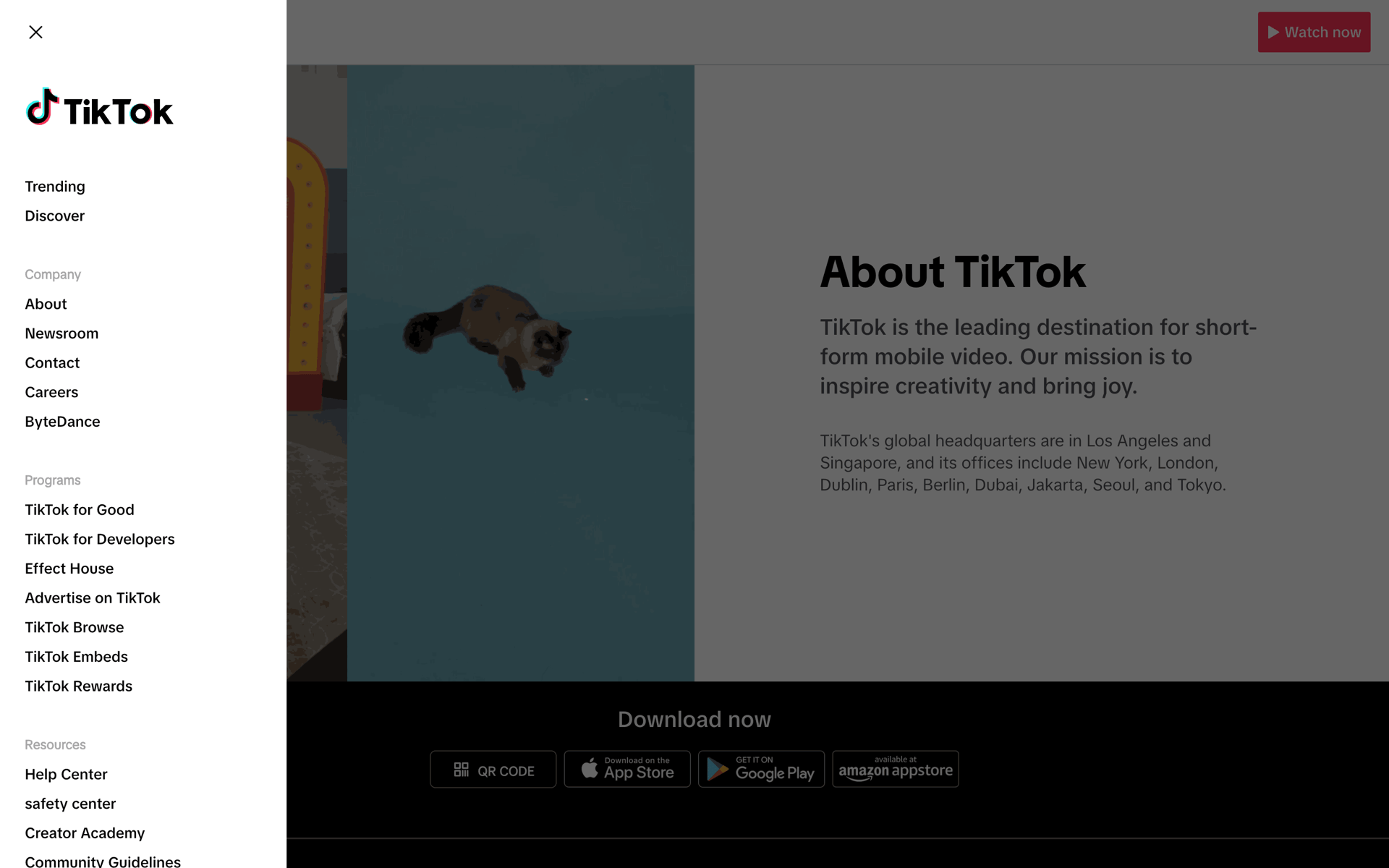TikTok Web UI screenshot 13