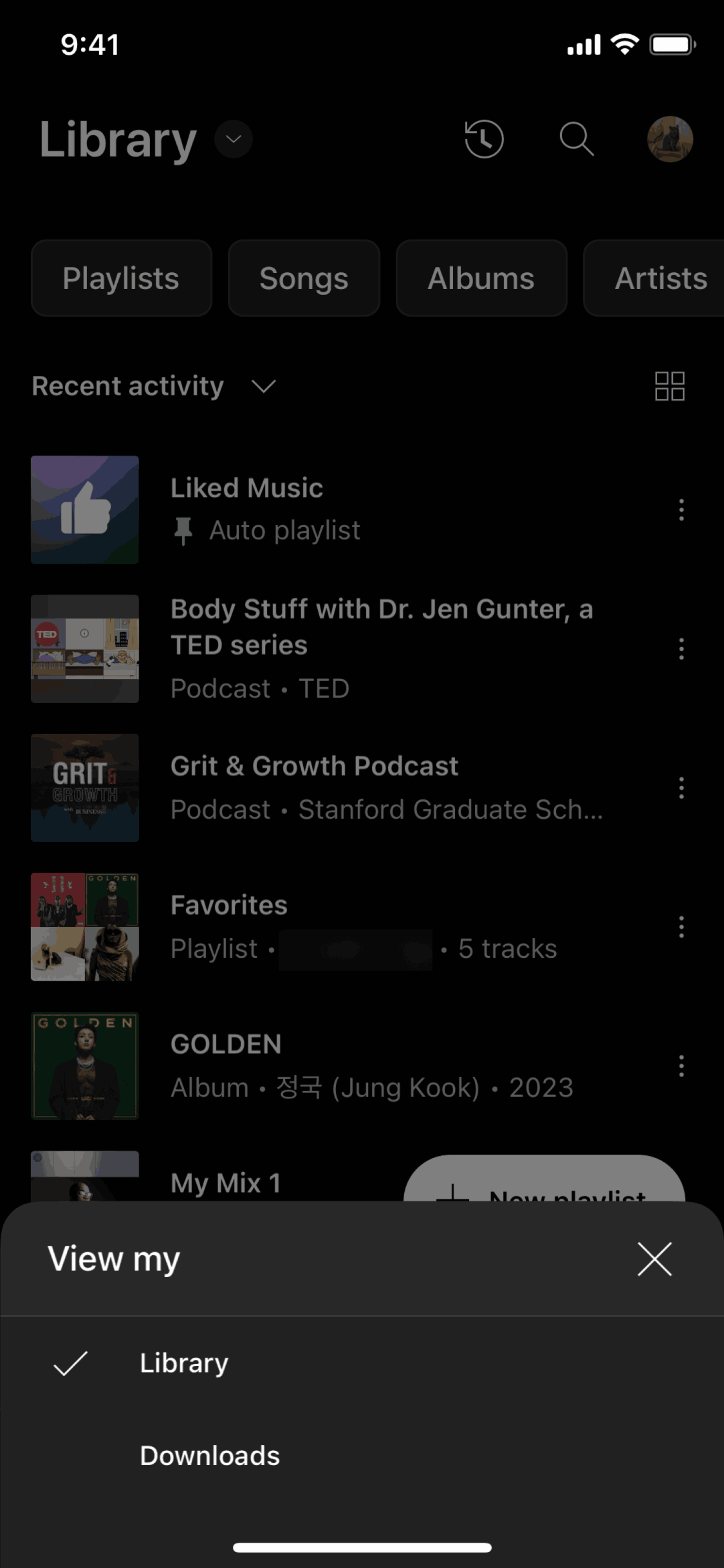 YouTube Music iOS UI screenshot 13