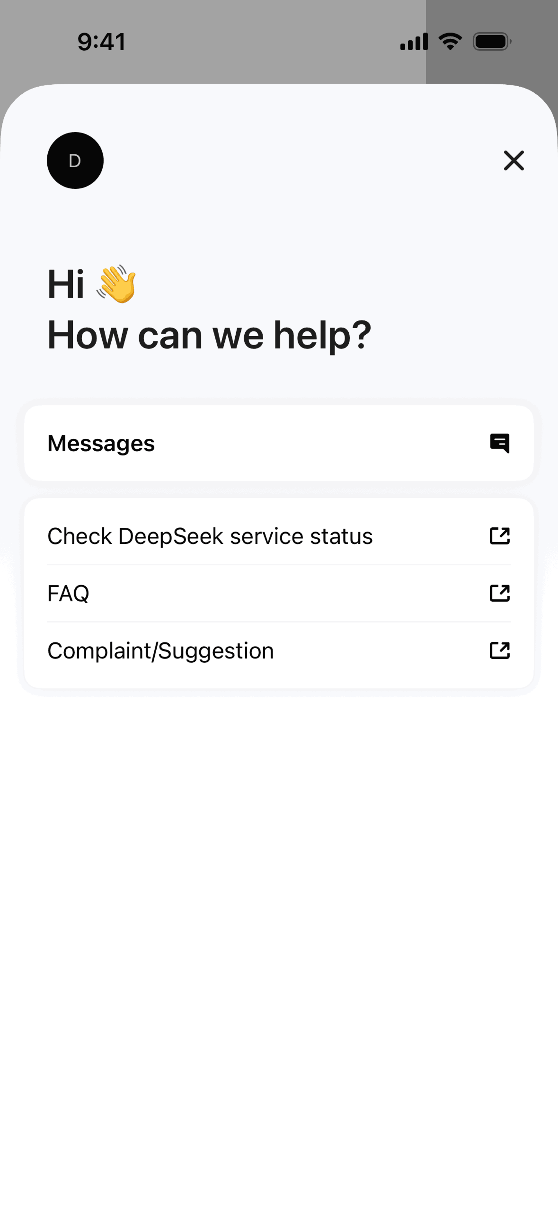 DeepSeek iOS UI screenshot 13