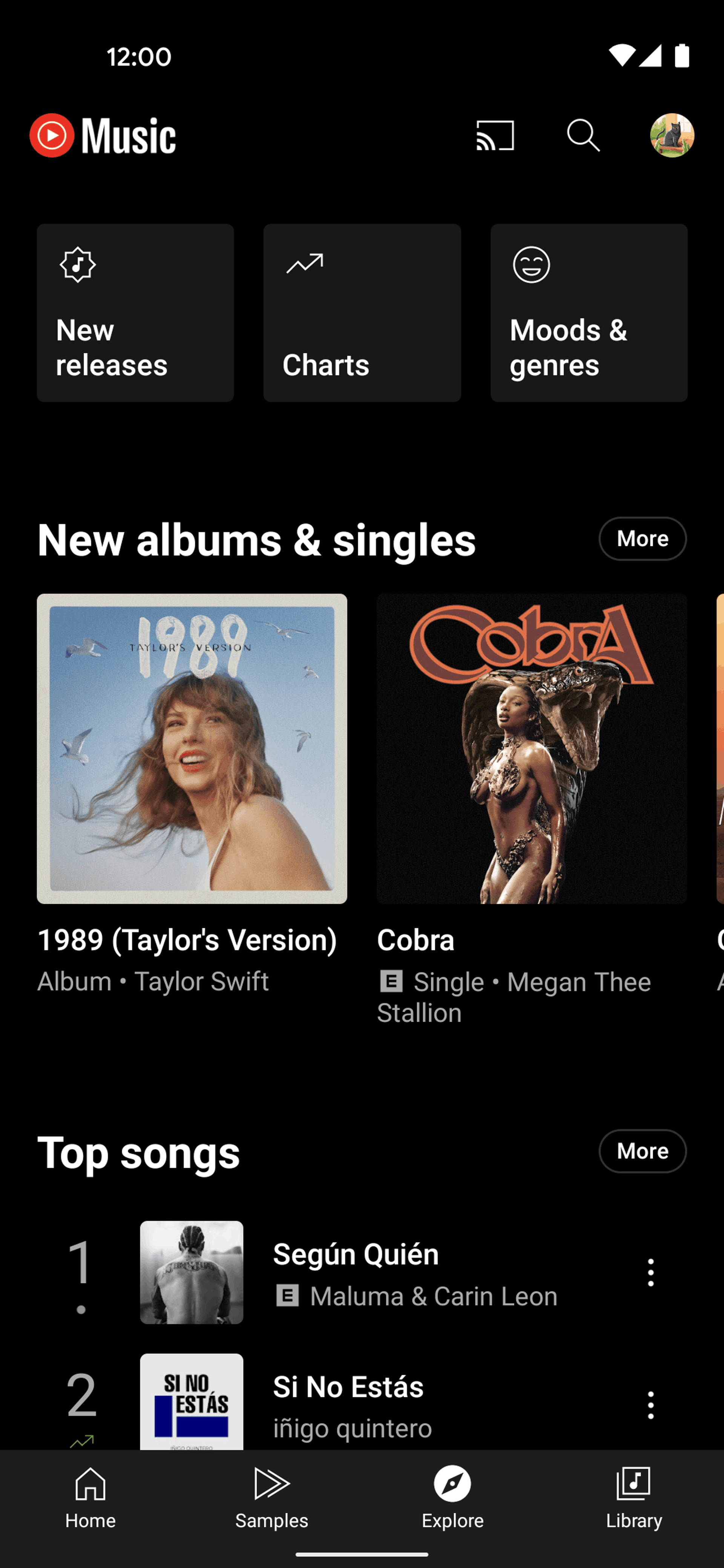 YouTube Music Android UI screenshot 19