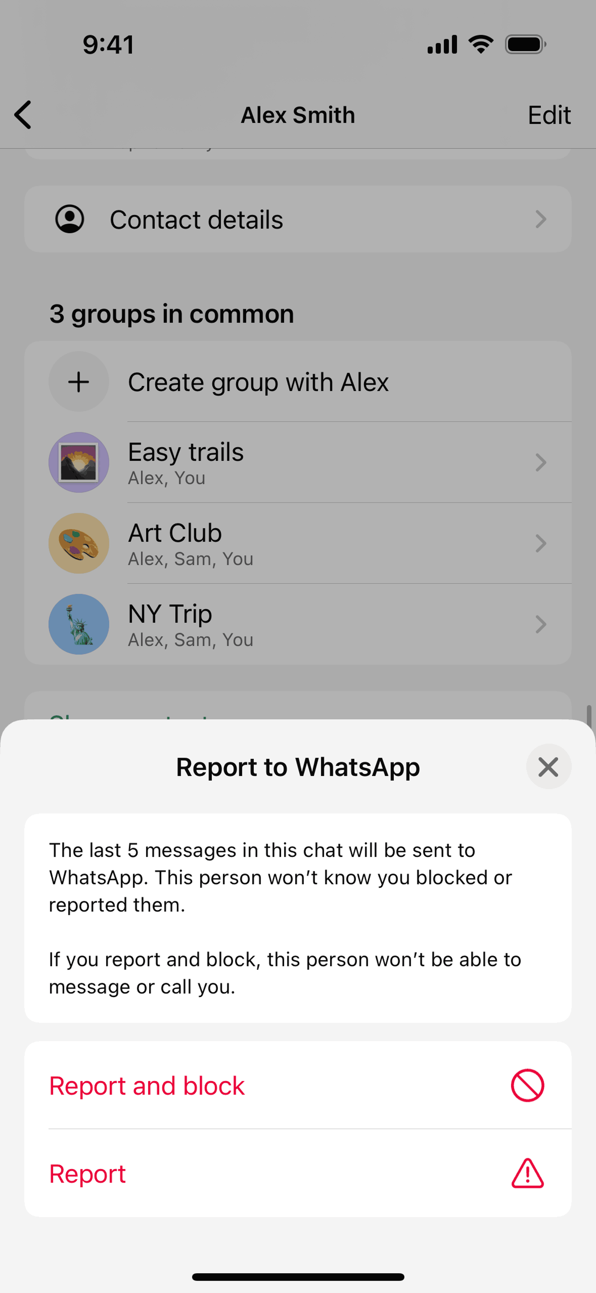 WhatsApp iOS UI screenshot 9