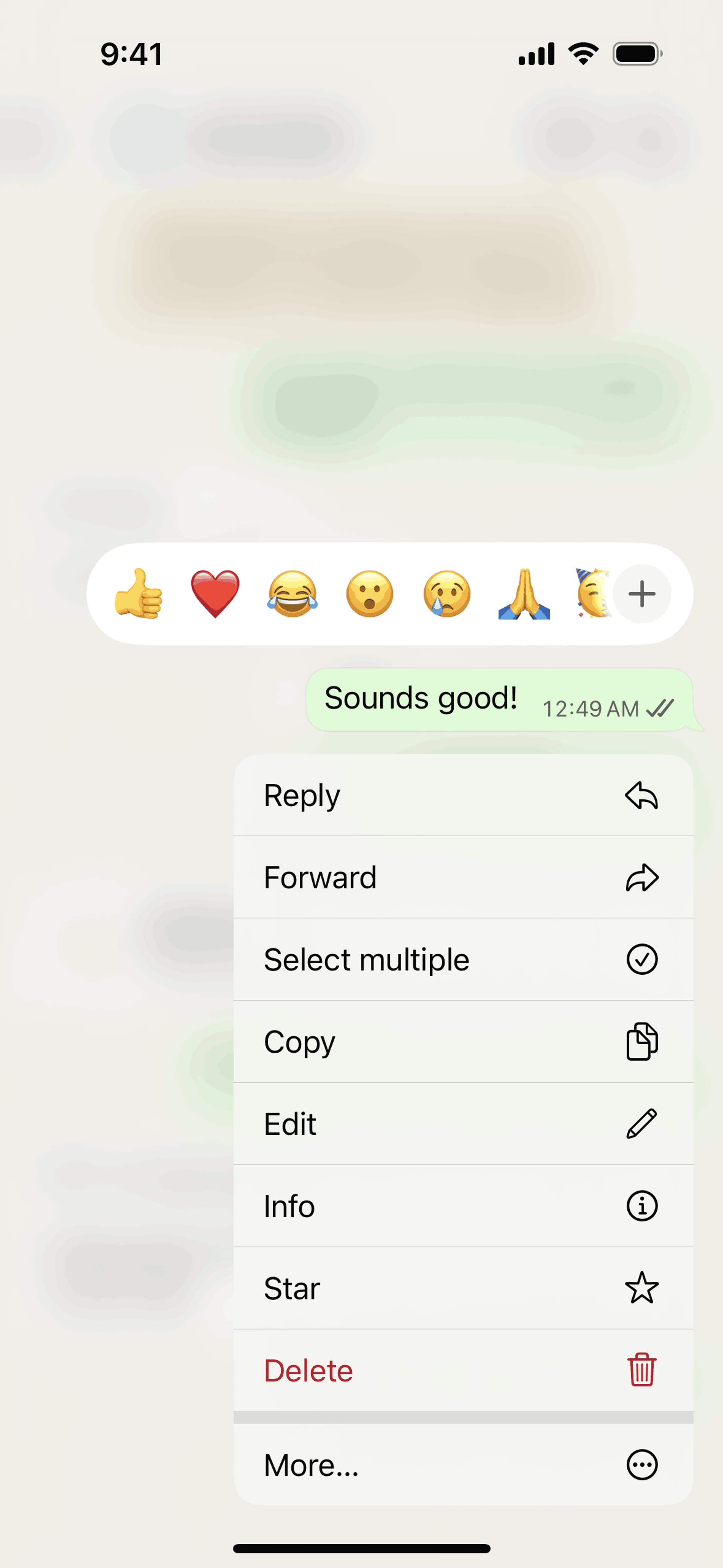 WhatsApp iOS UI screenshot 16