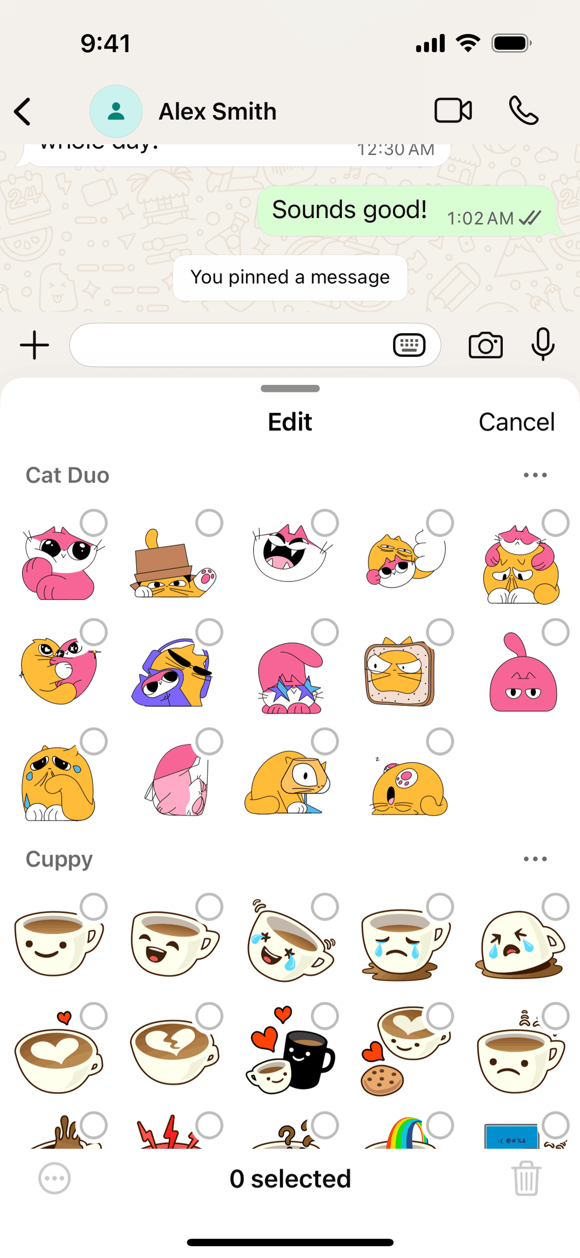 WhatsApp iOS UI screenshot 6