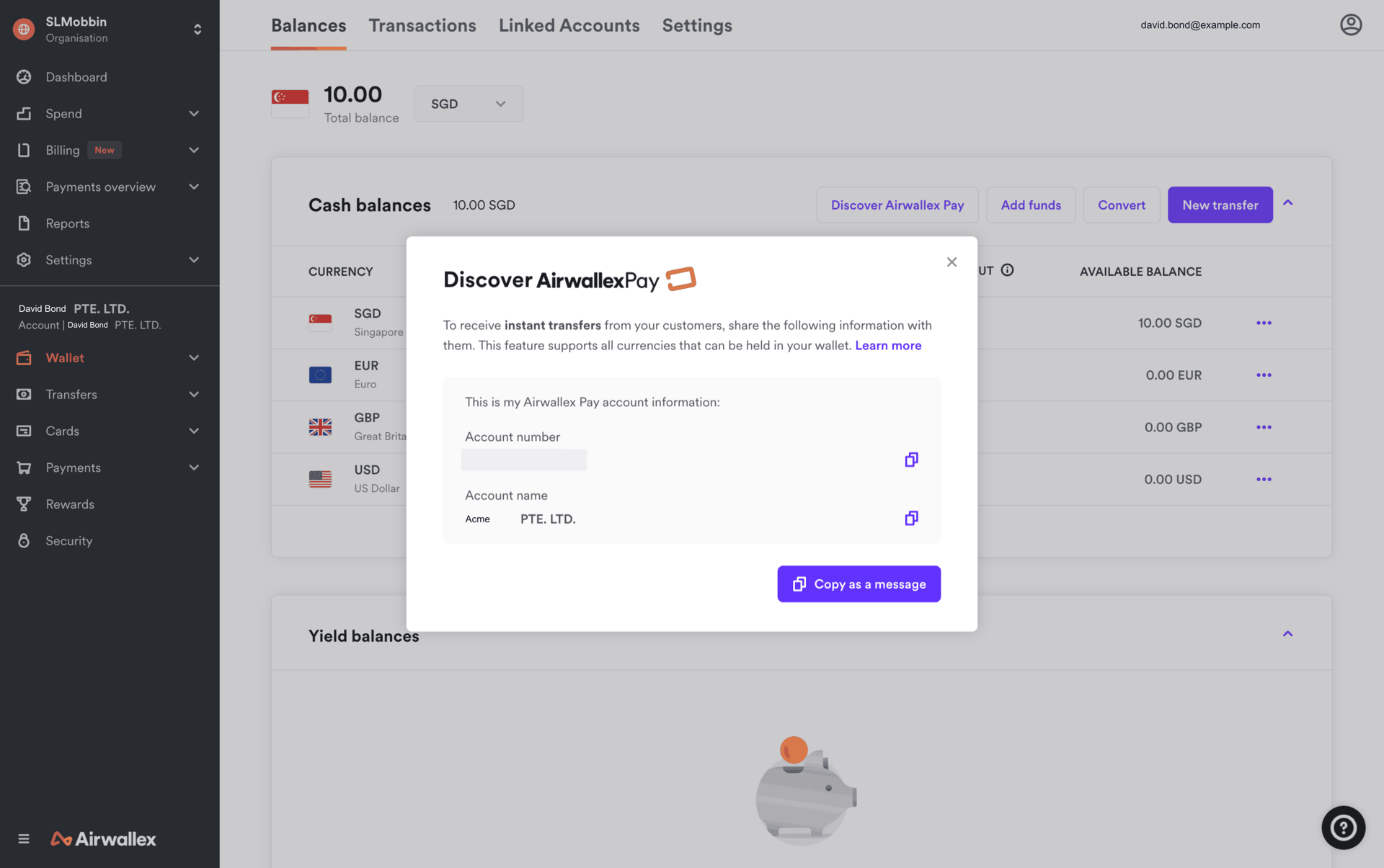 Airwallex Web Finance interface screenshot 10