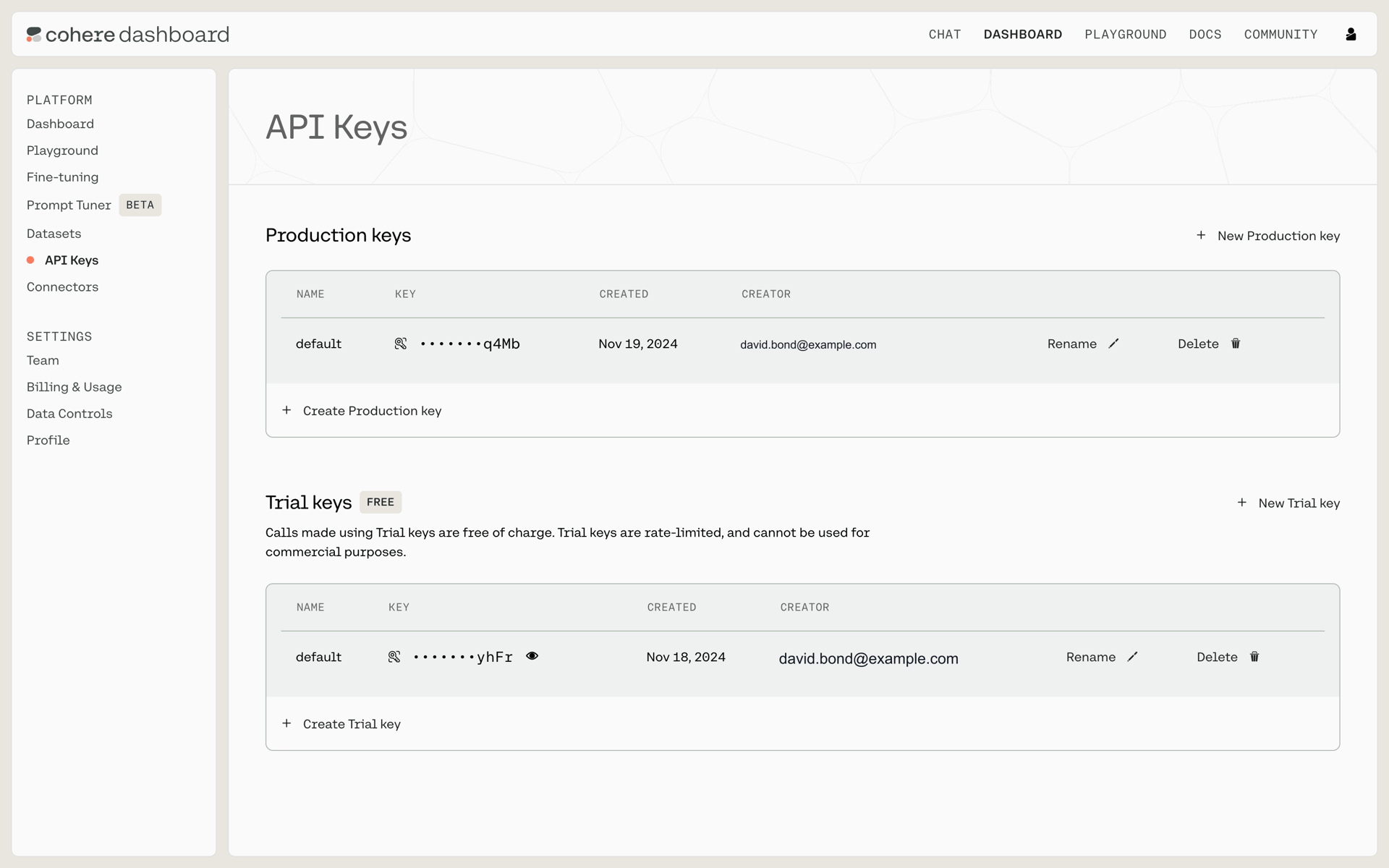 Cohere Web AI interface screenshot 18
