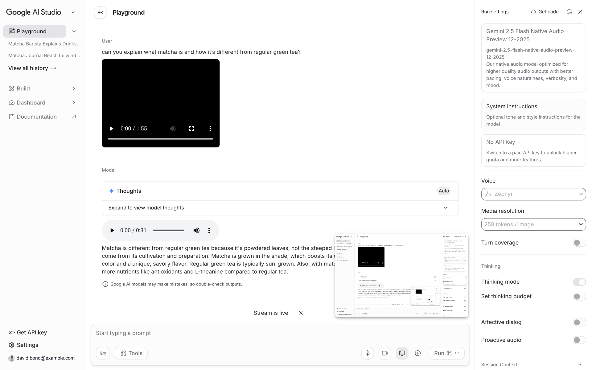 Google AI Studio Web machine learning interface screenshot 20