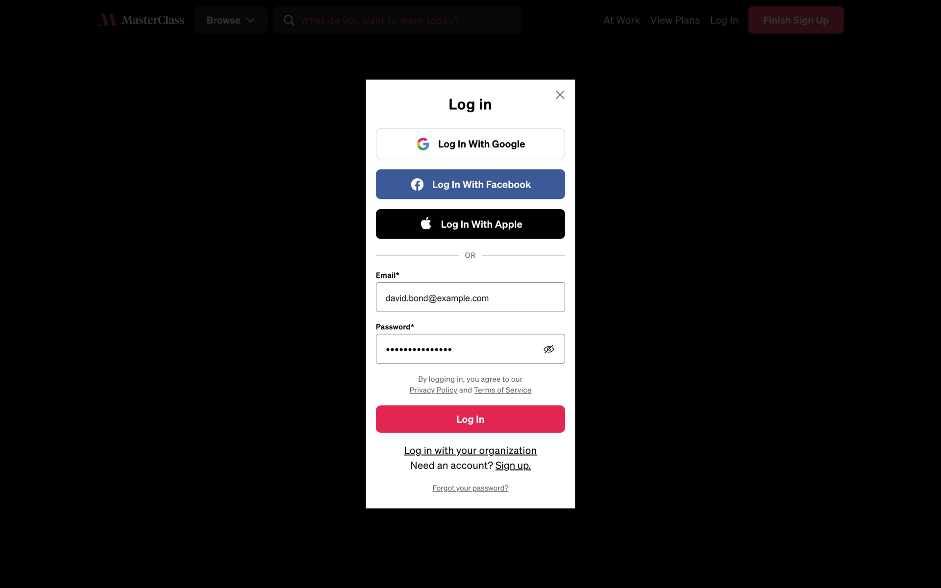MasterClass Web Business interface screenshot 18