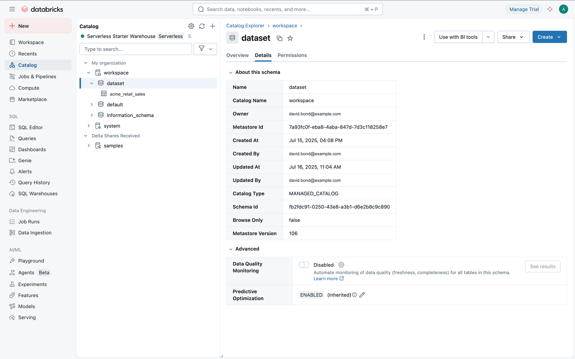 Databricks Web Developer Tools interface screenshot 4
