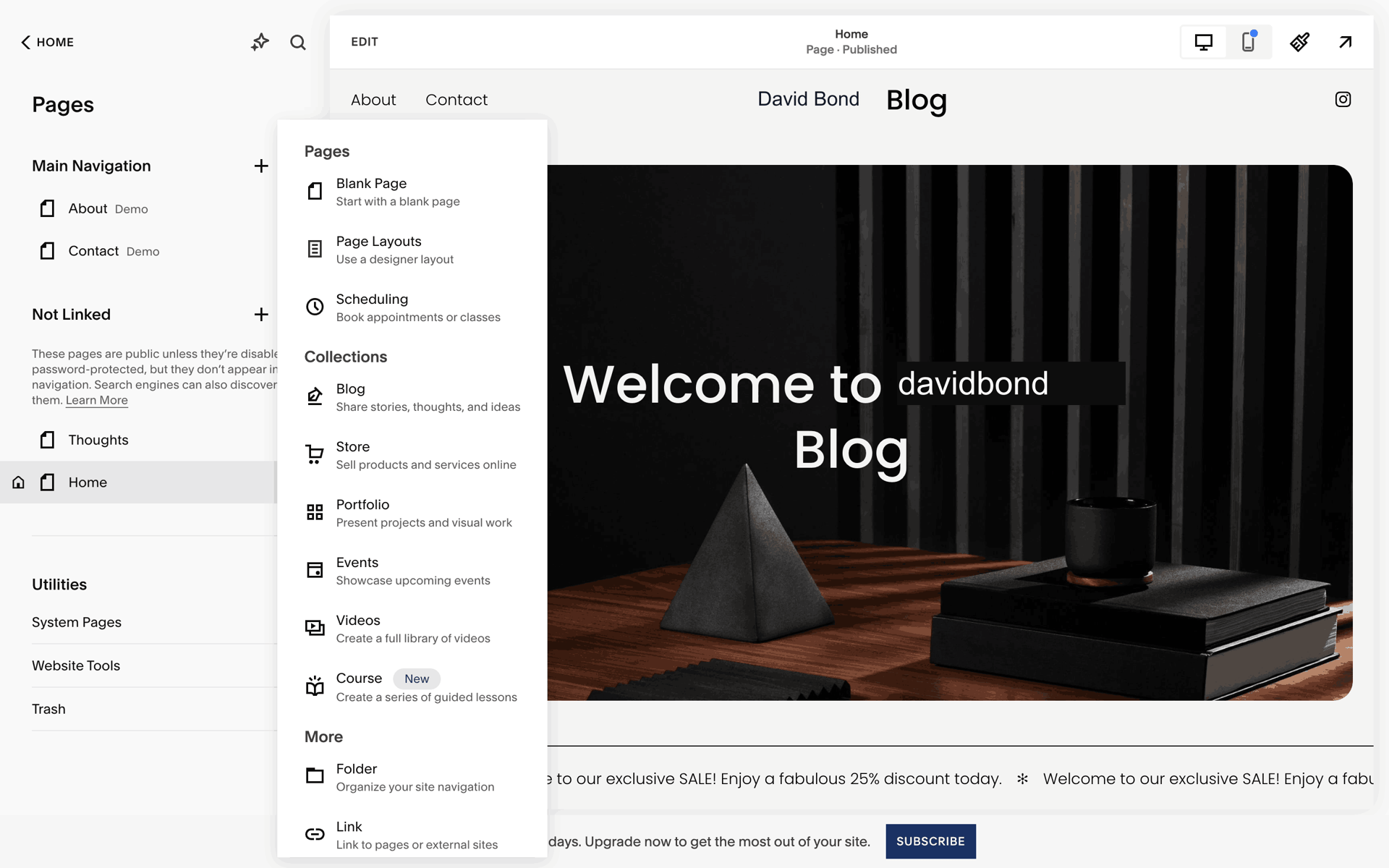 Squarespace Web Business interface screenshot 5