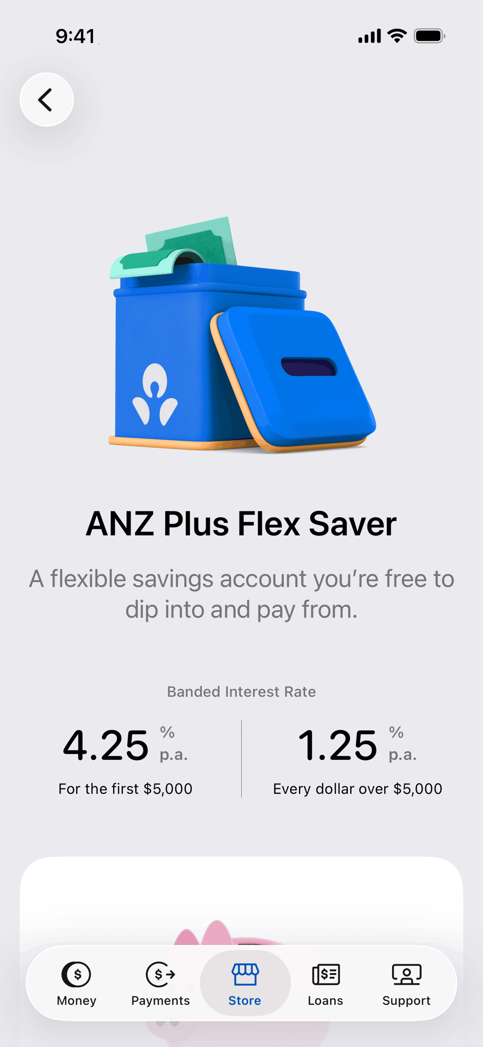 ANZ Plus iOS Finance interface screenshot 22