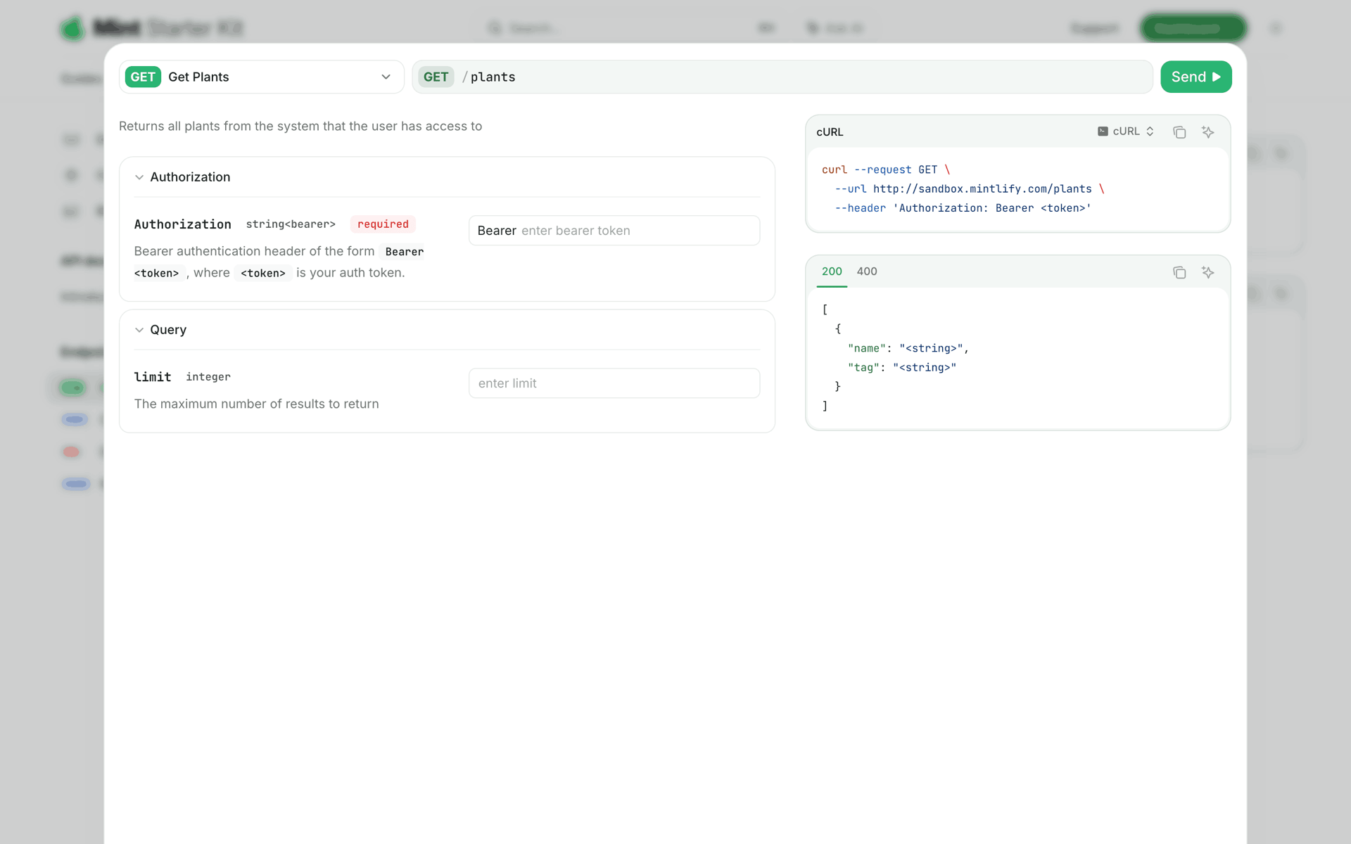 Mintlify Web Developer Tools interface screenshot 24
