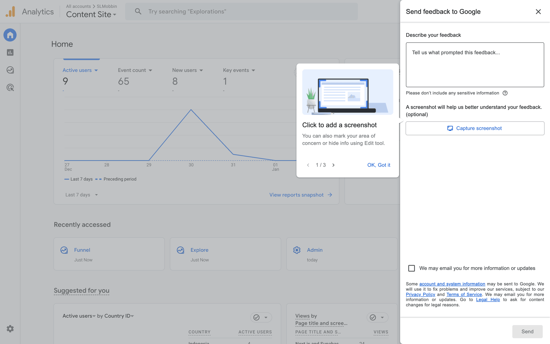 Google Analytics Web Business interface screenshot 24