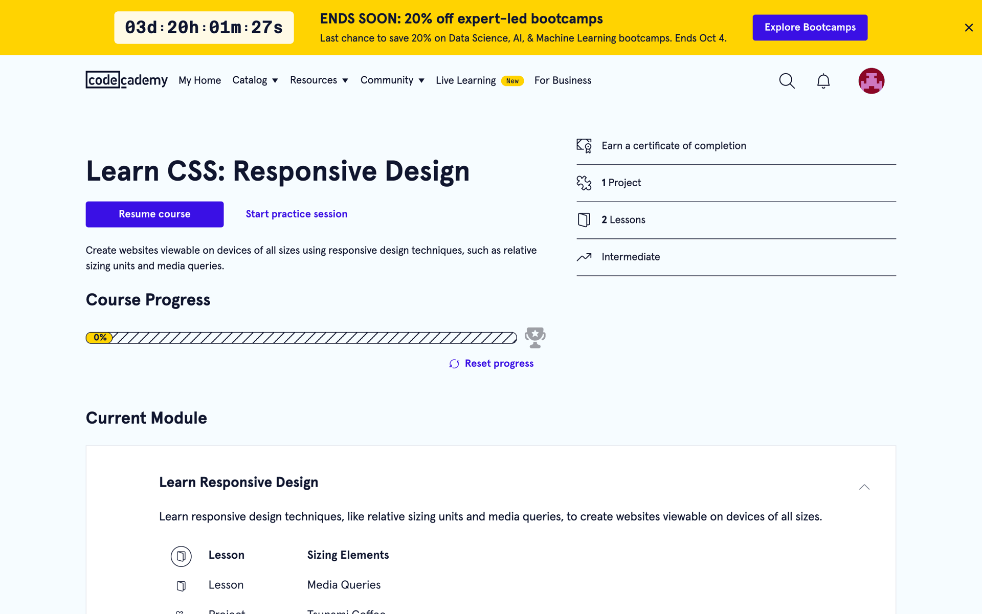 Codecademy Web AI interface screenshot 2