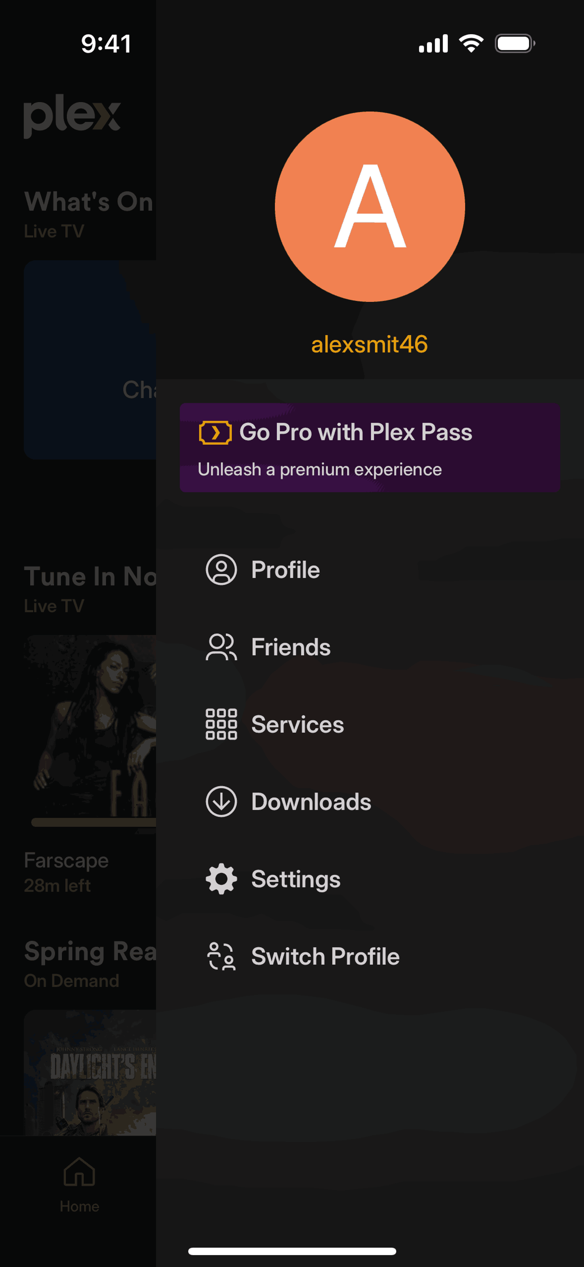 Plex iOS Entertainment interface screenshot 13