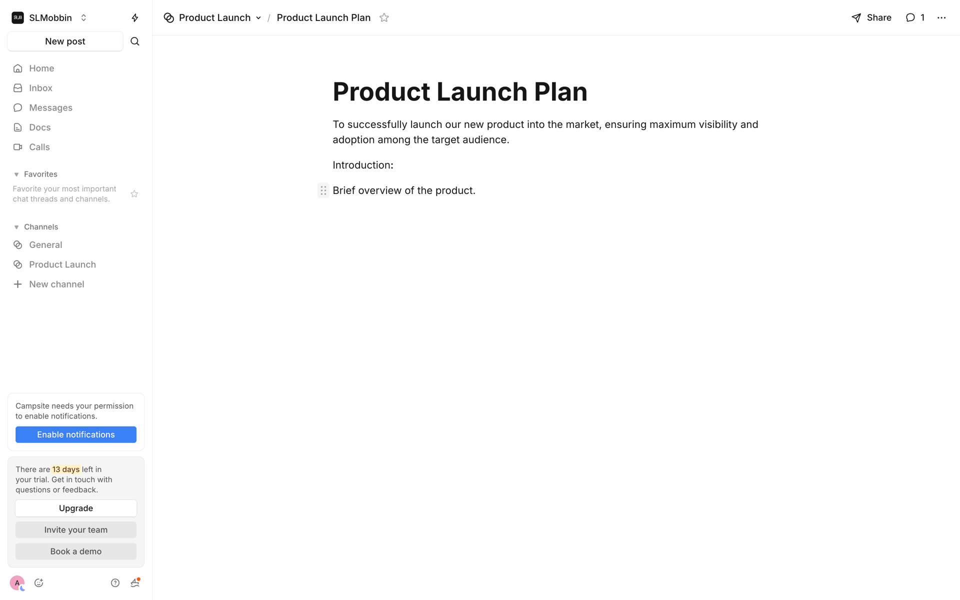 Campsite Web Productivity interface screenshot 12