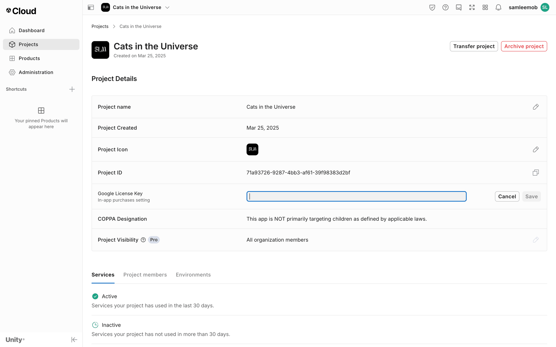 Unity Web Developer Tools interface screenshot 21