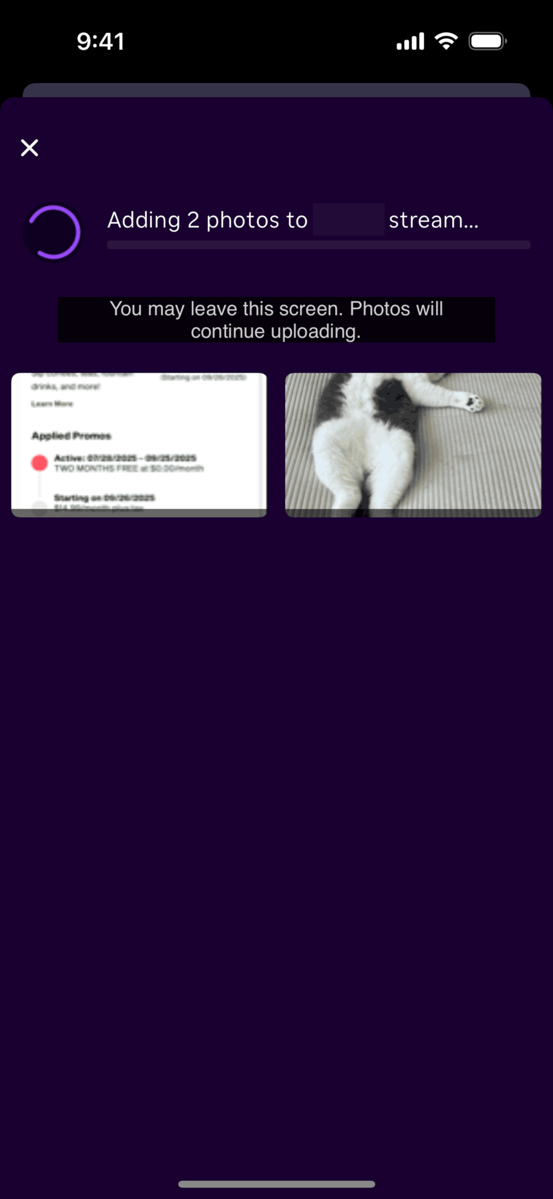 Roku iOS Entertainment interface screenshot 12