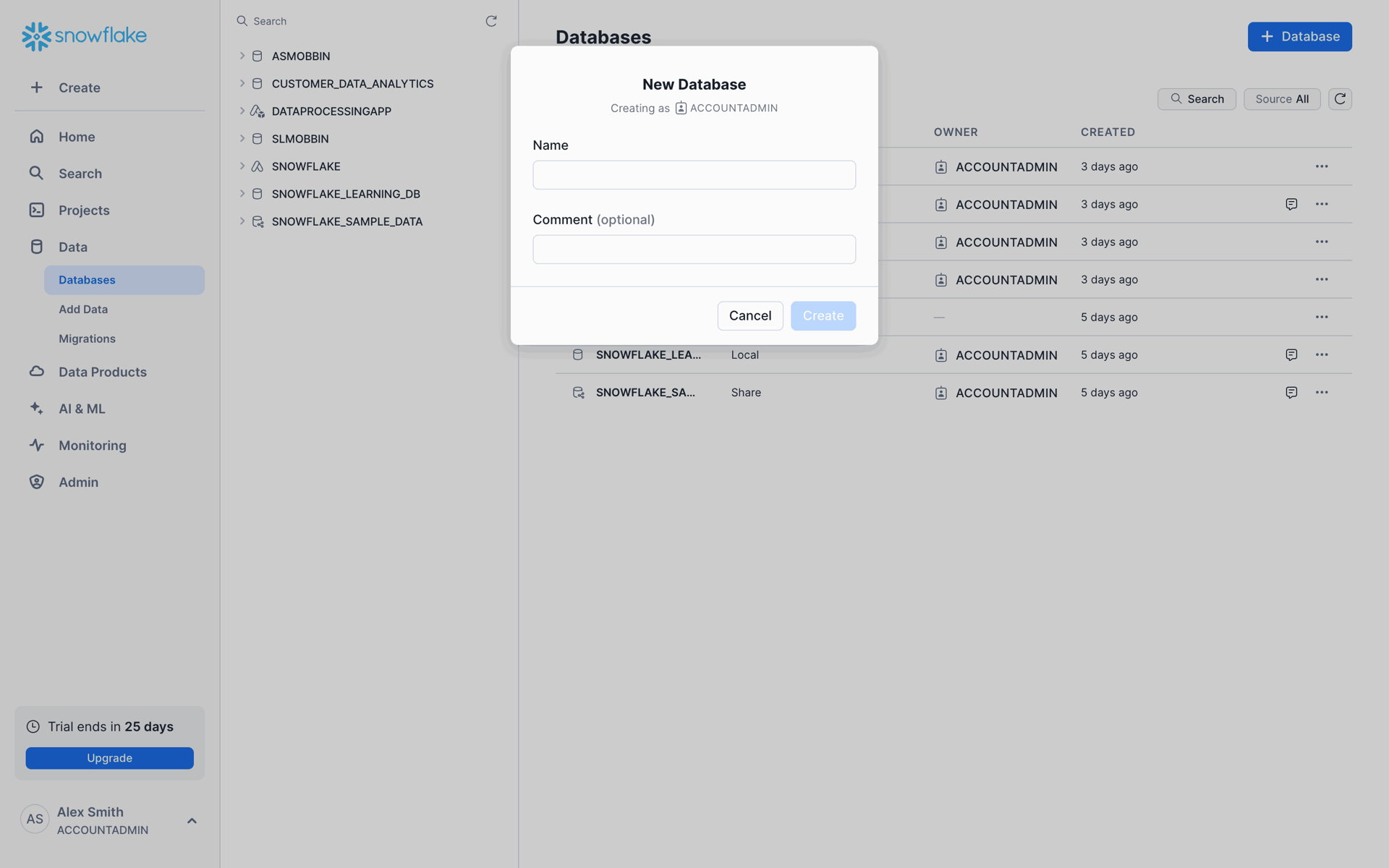 Snowflake Web Developer Tools interface screenshot 11