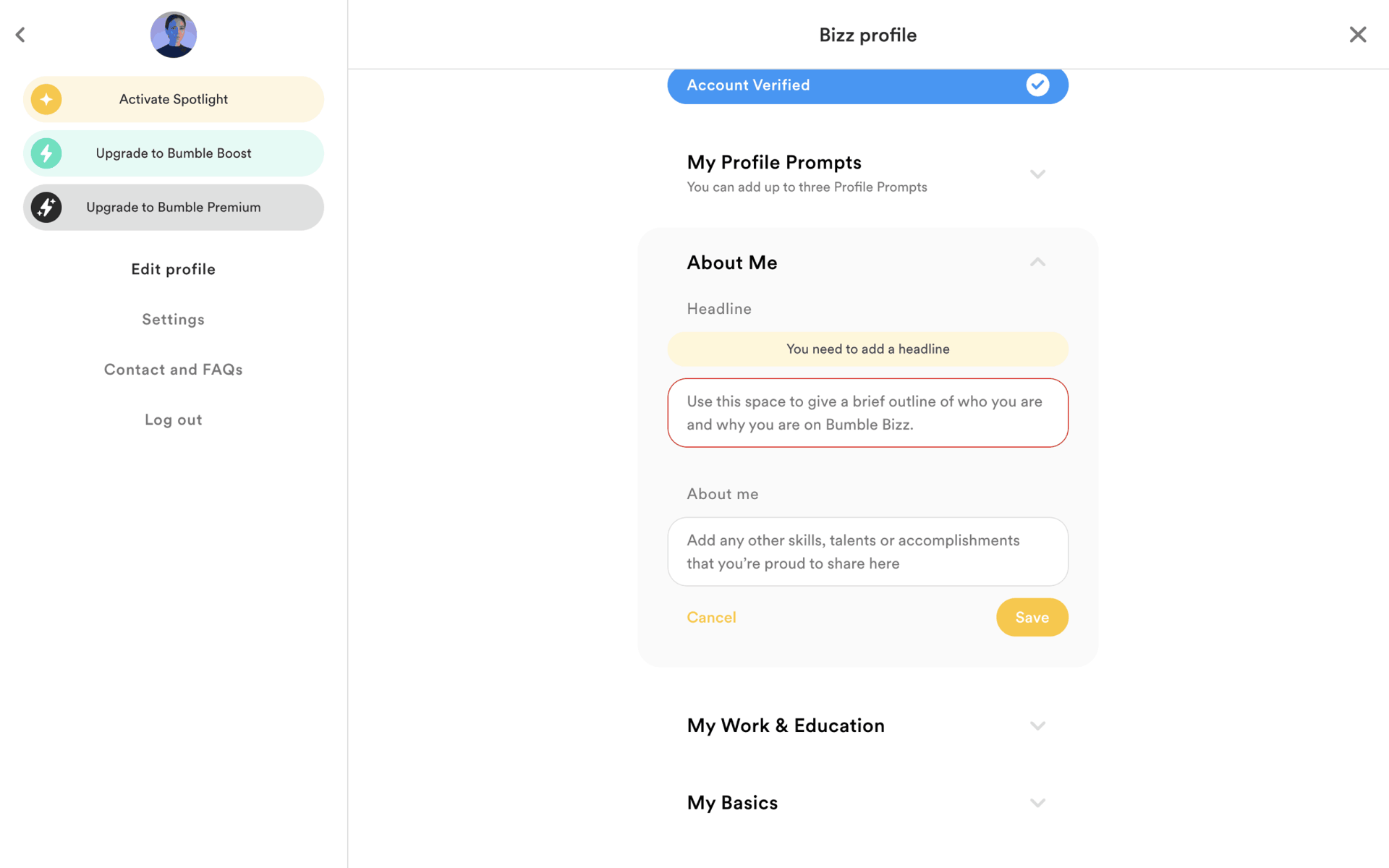 Bumble Web Lifestyle interface screenshot 13