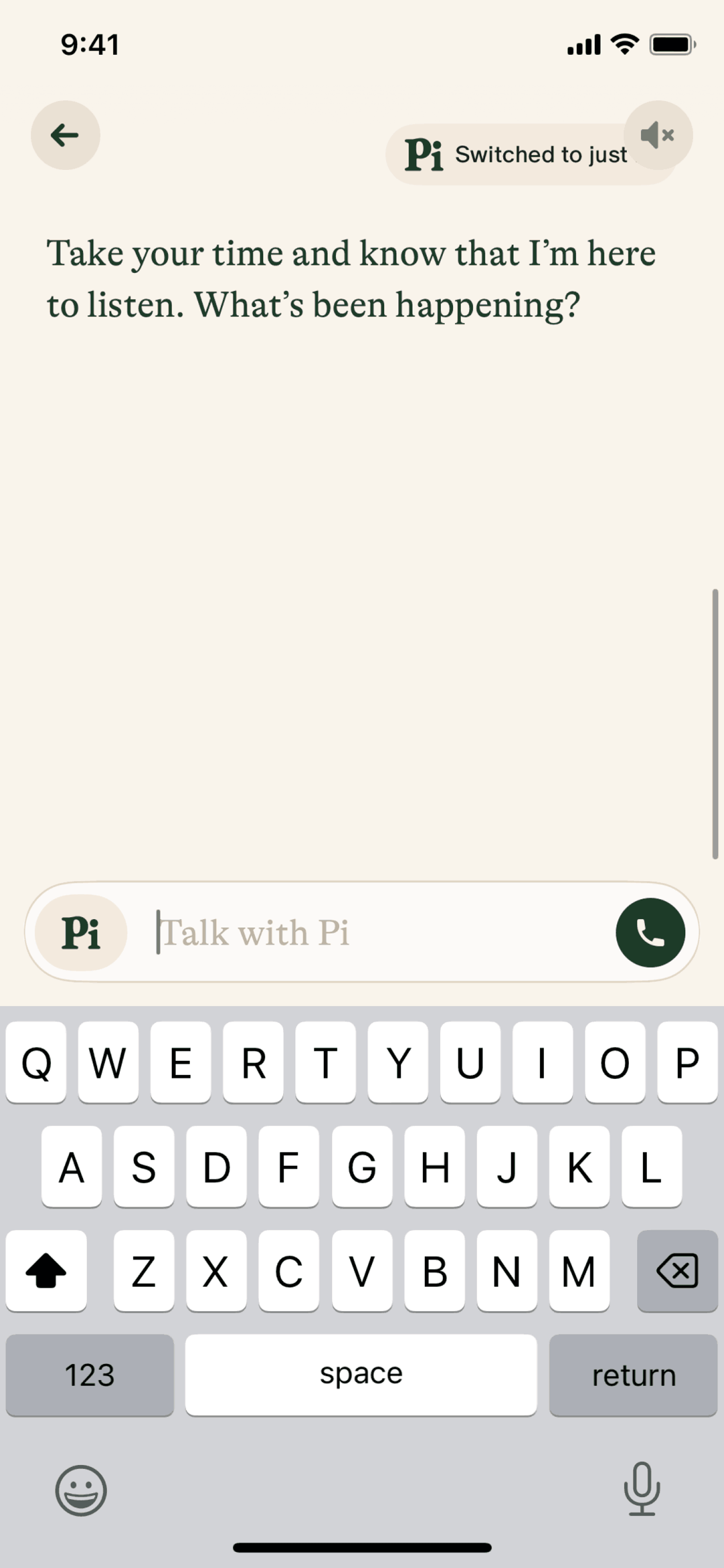 Pi iOS AI interface screenshot 6