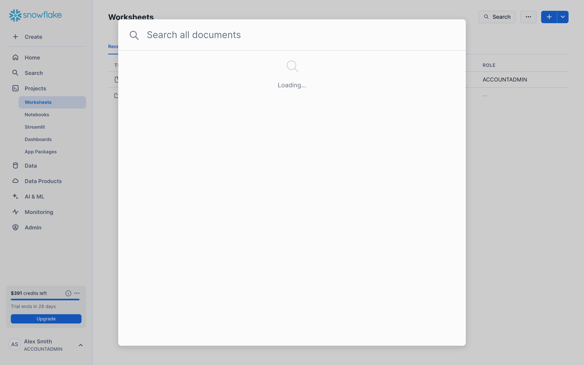 Snowflake Web Developer Tools interface screenshot 8