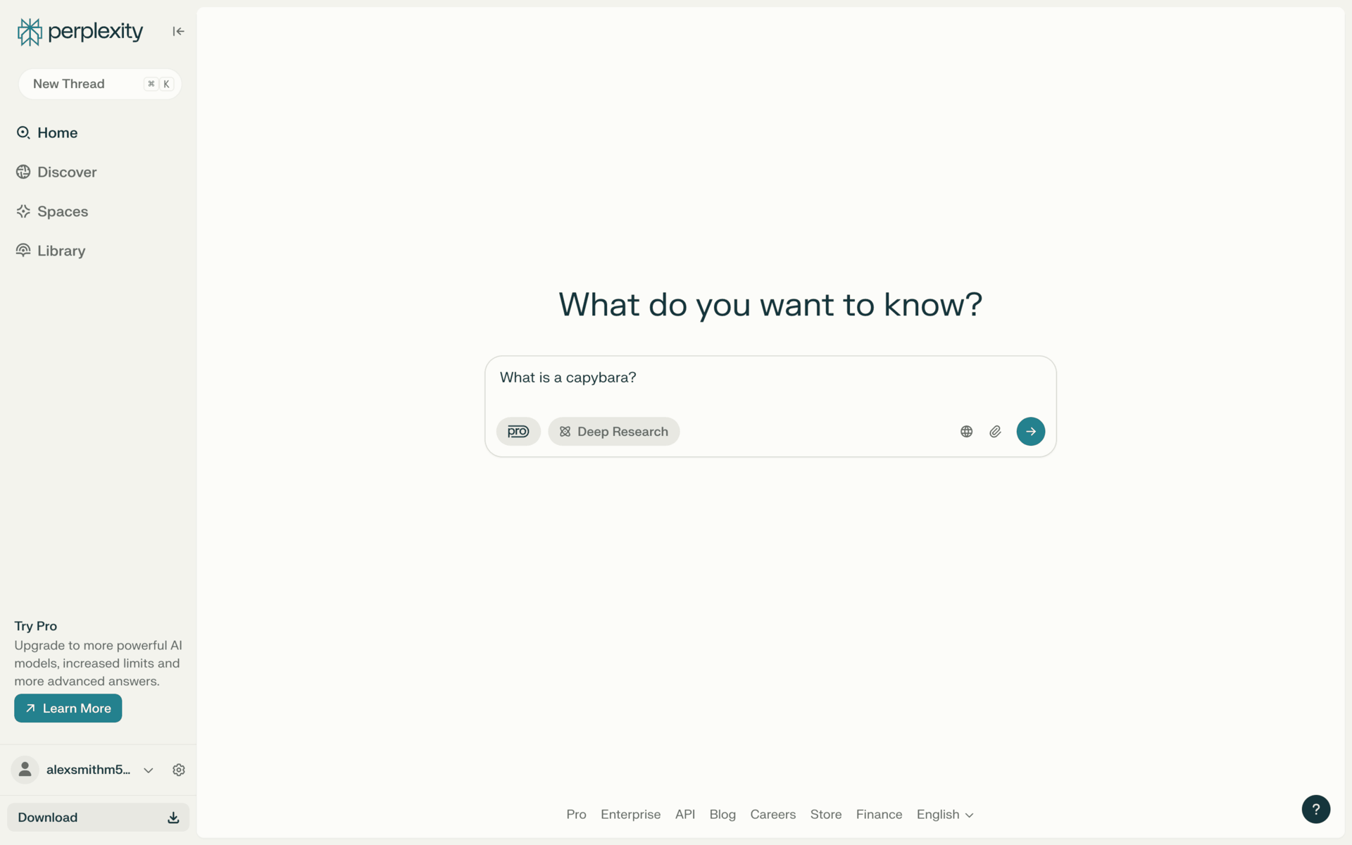 Perplexity Web AI interface screenshot 17