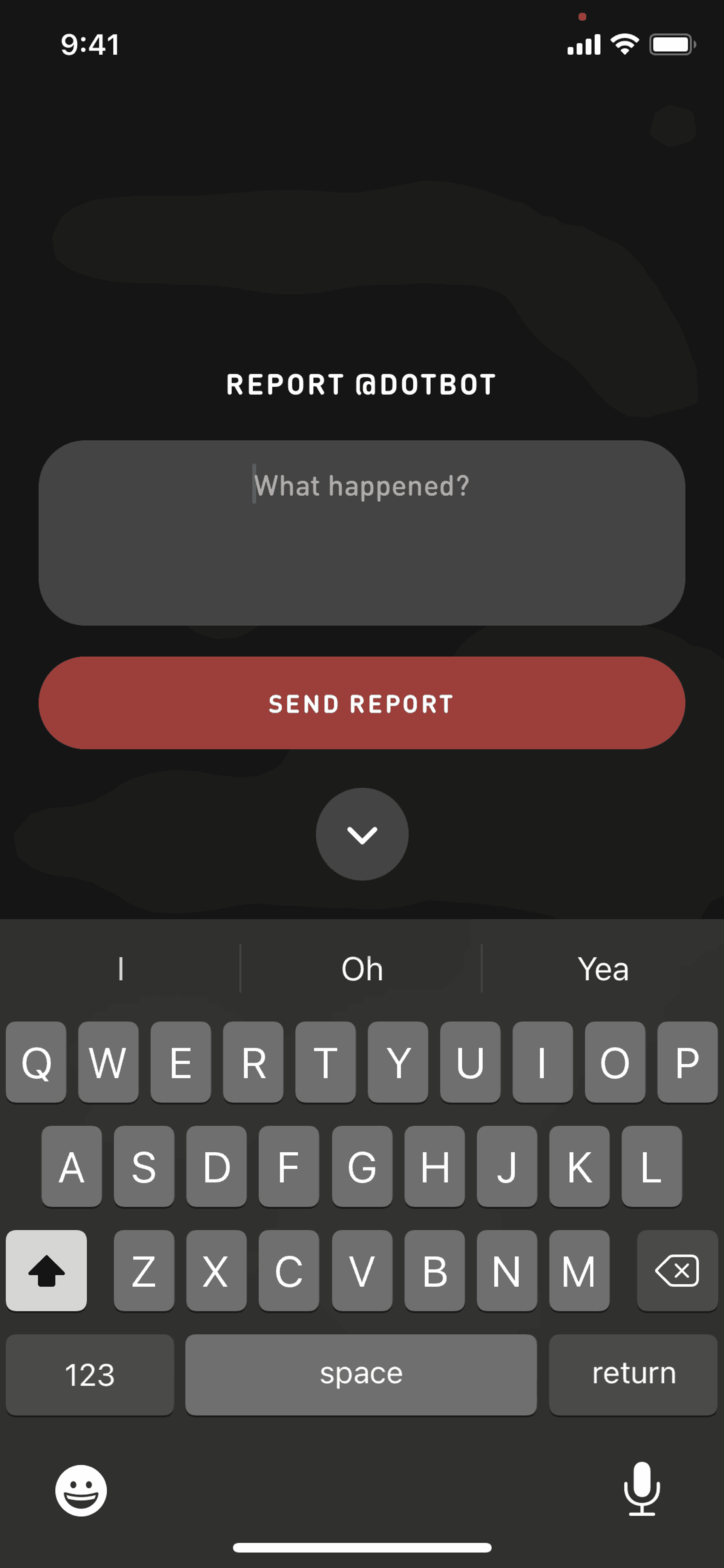 Reporting a user on Sonar (ios) screen 2