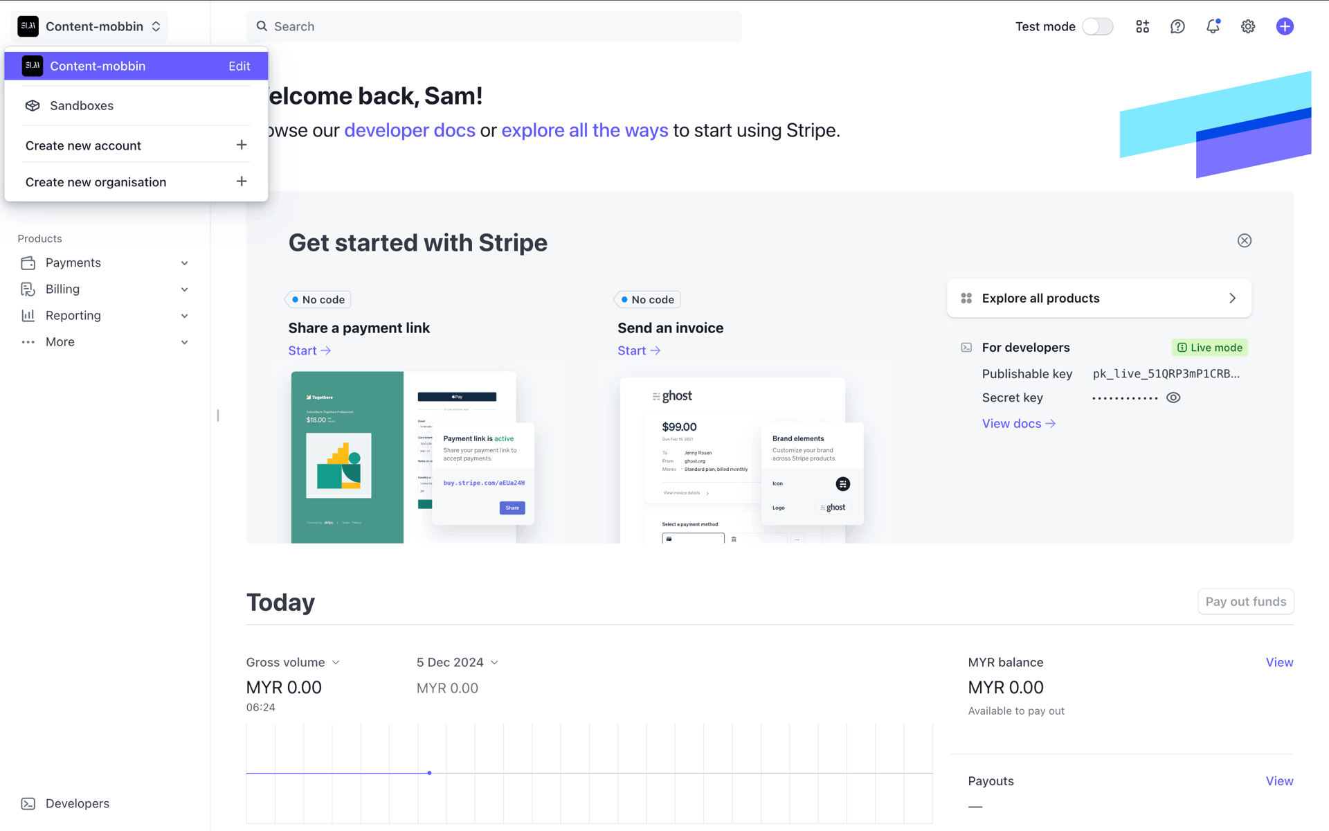 Stripe Web Business interface screenshot 20