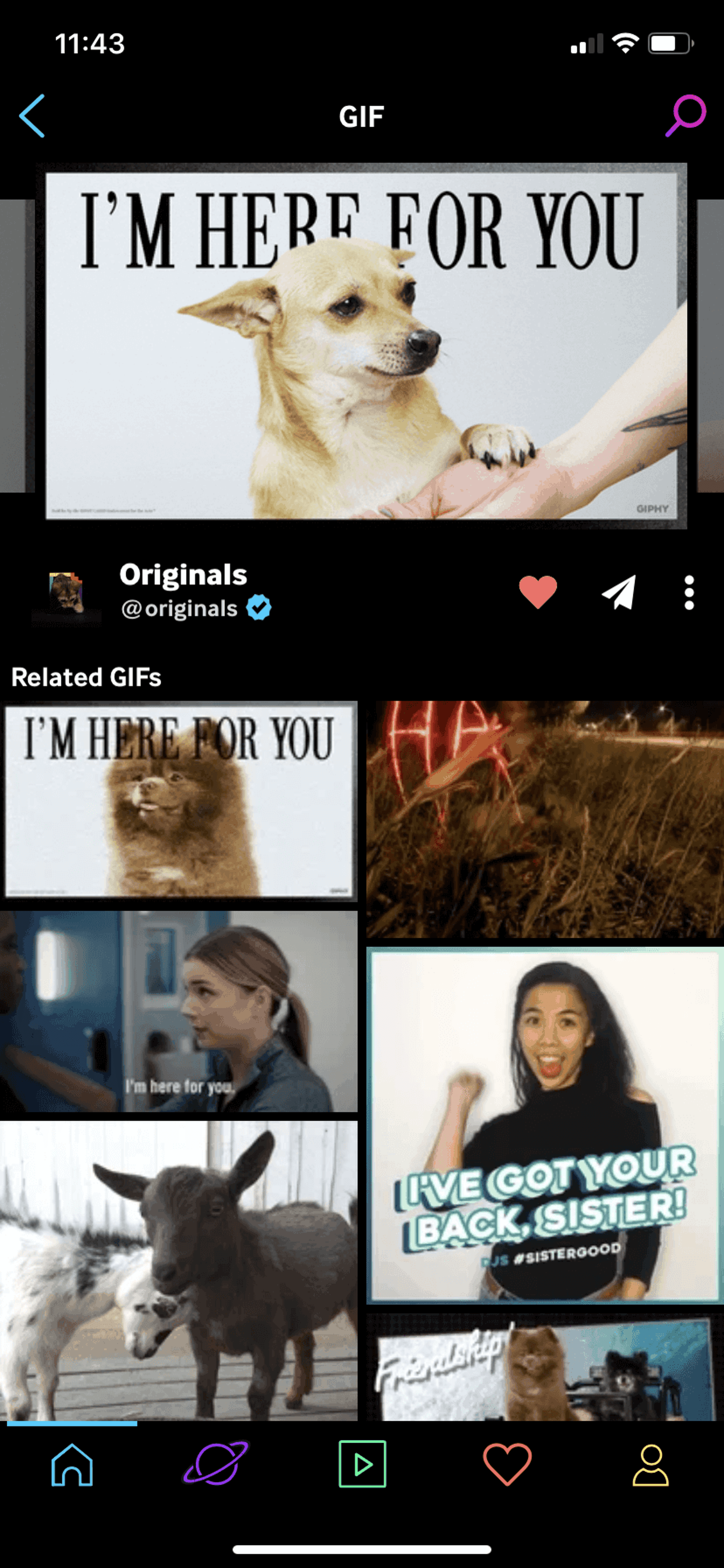GIPHY iOS Photo & Video interface screenshot 13