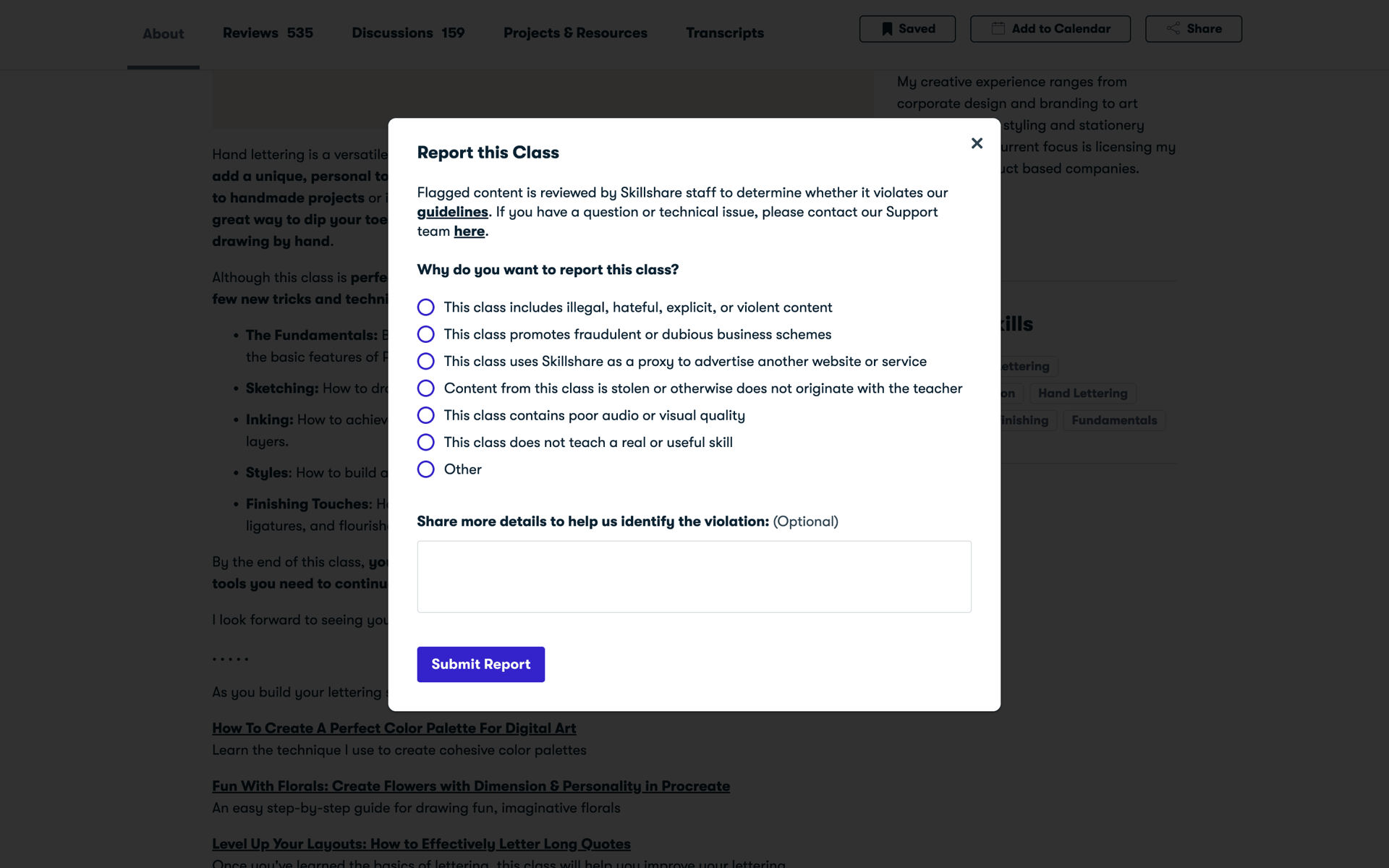 Skillshare Web Education interface screenshot 18