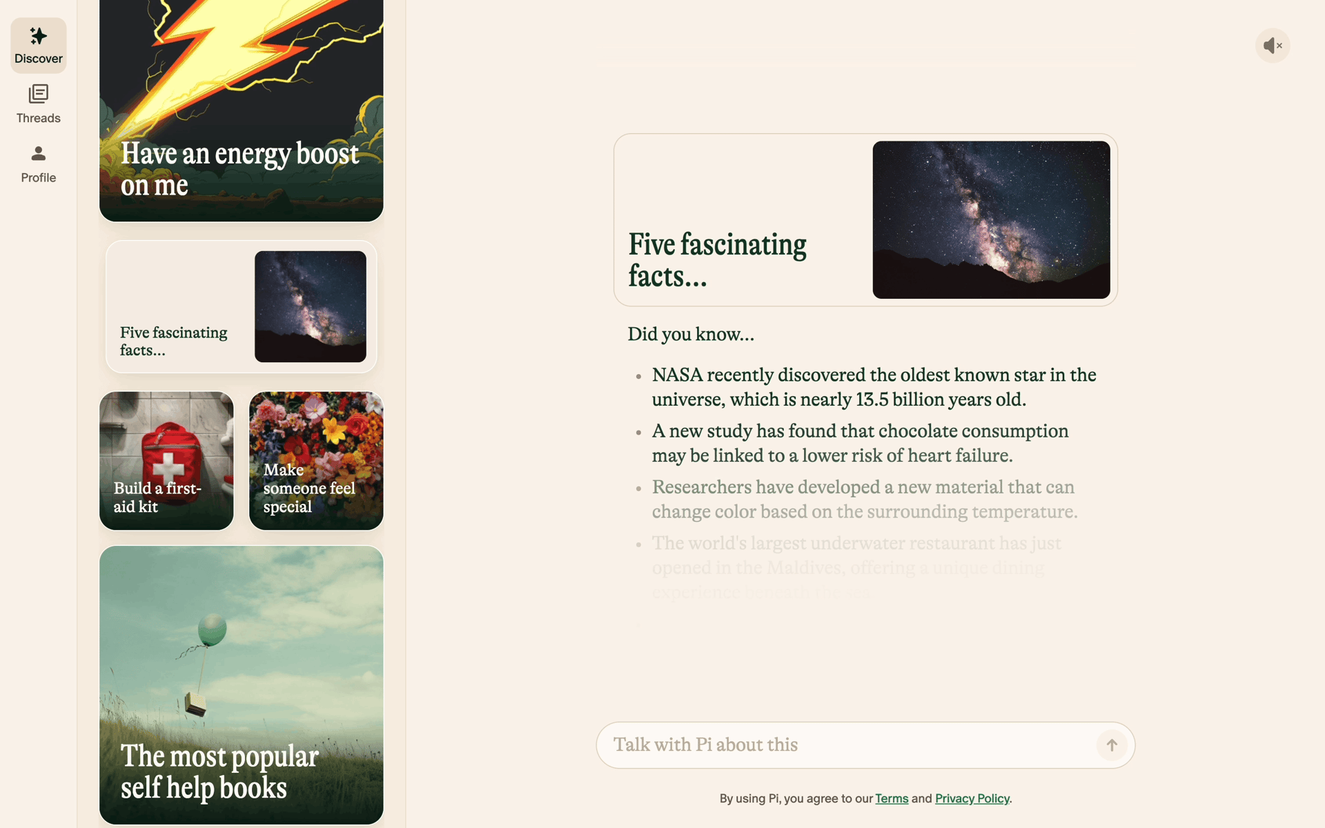 Pi Web AI interface screenshot 15