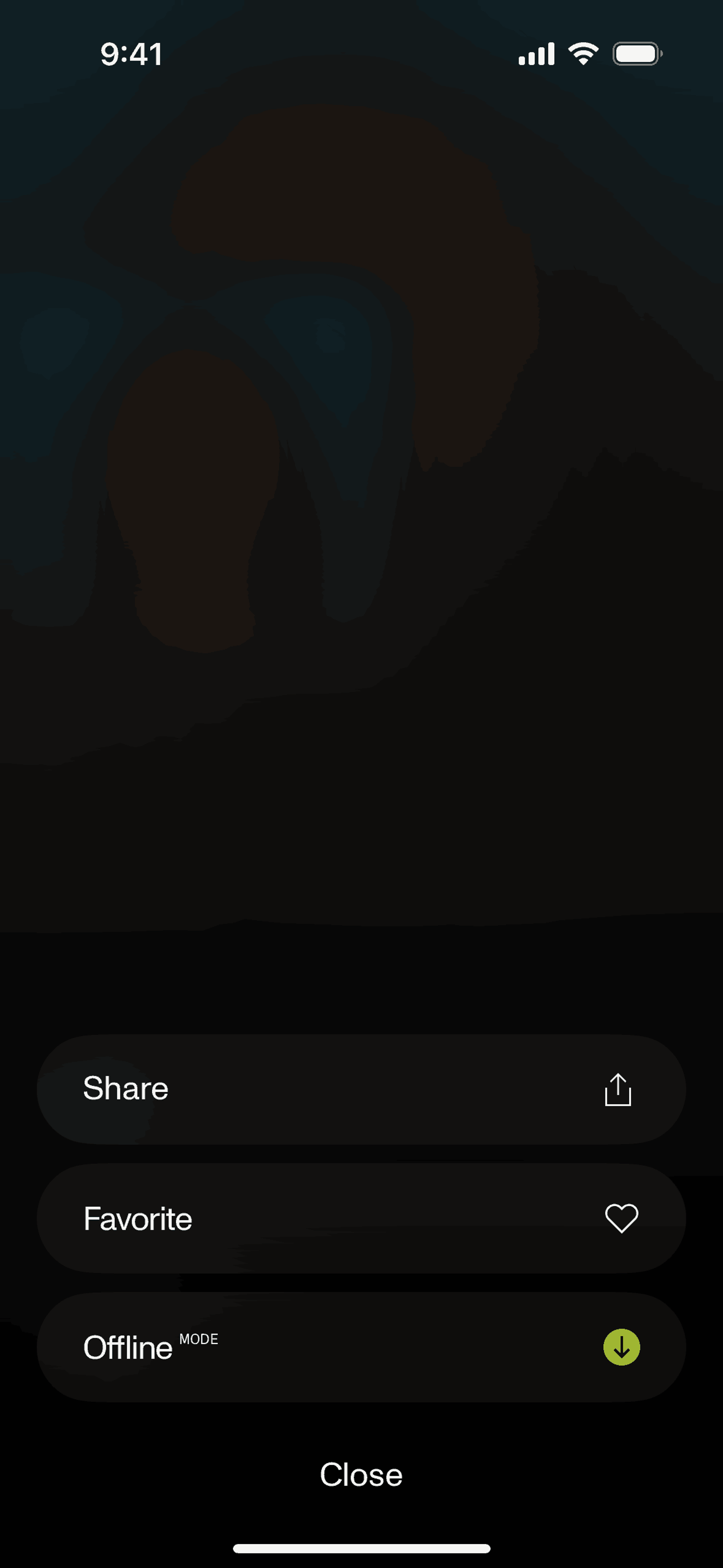 Open iOS Health & Fitness interface screenshot 6