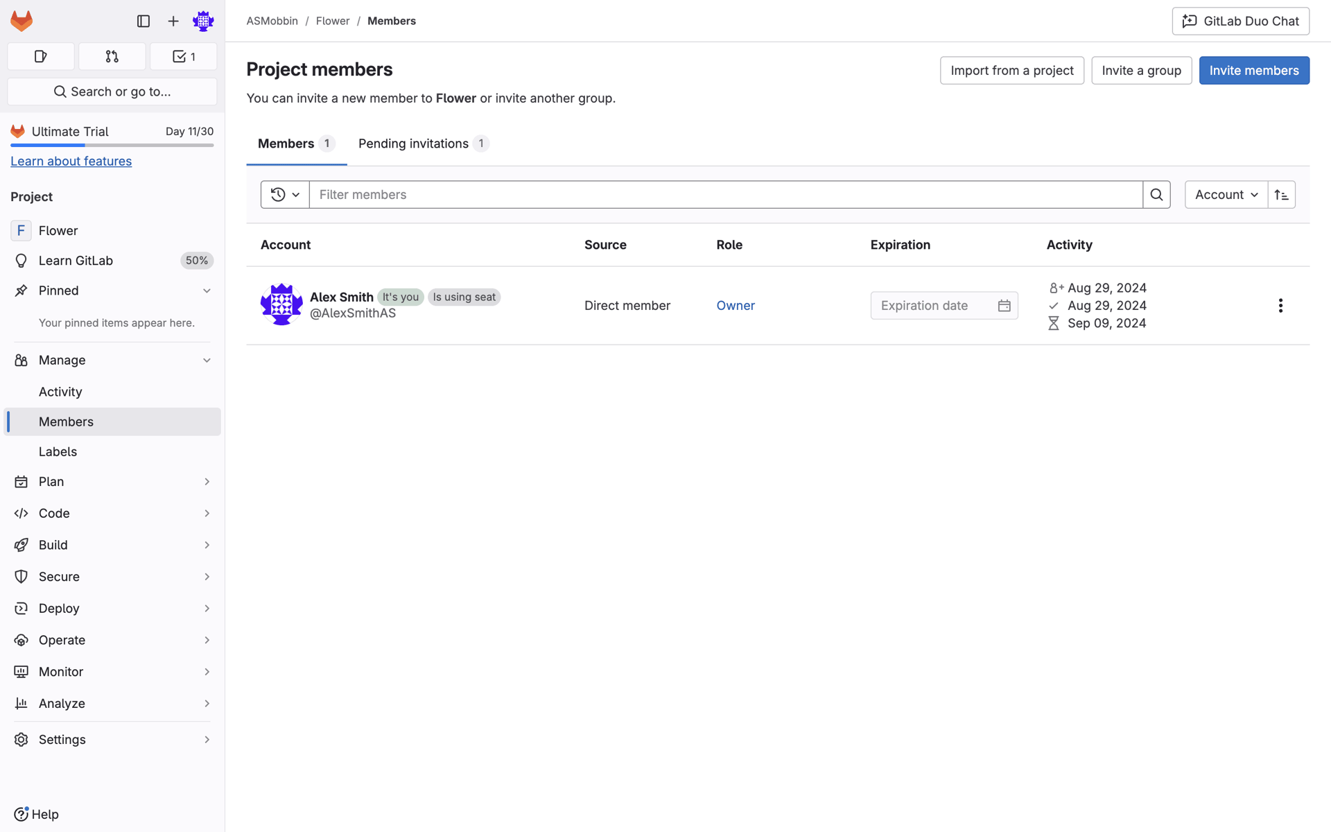 GitLab Web Developer Tools interface screenshot 16