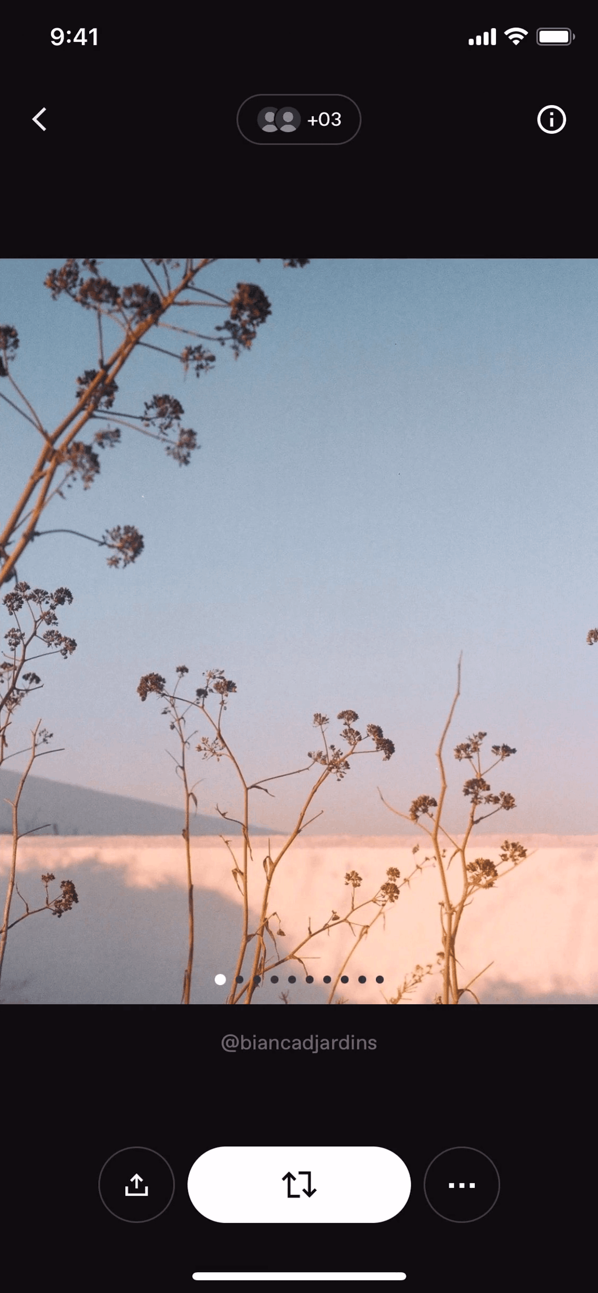 Cosmos iOS Photo & Video interface screenshot 20