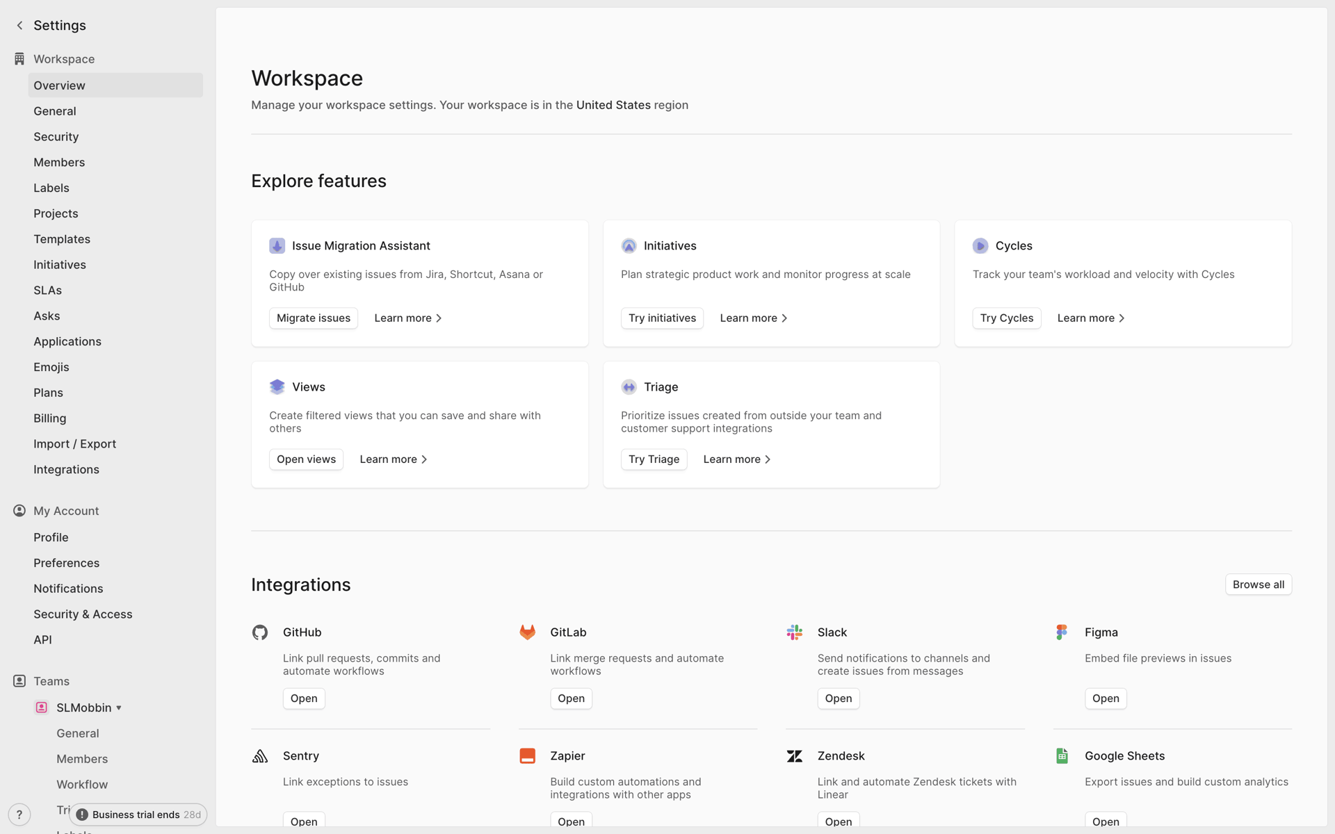 Linear Web Developer Tools interface screenshot 12