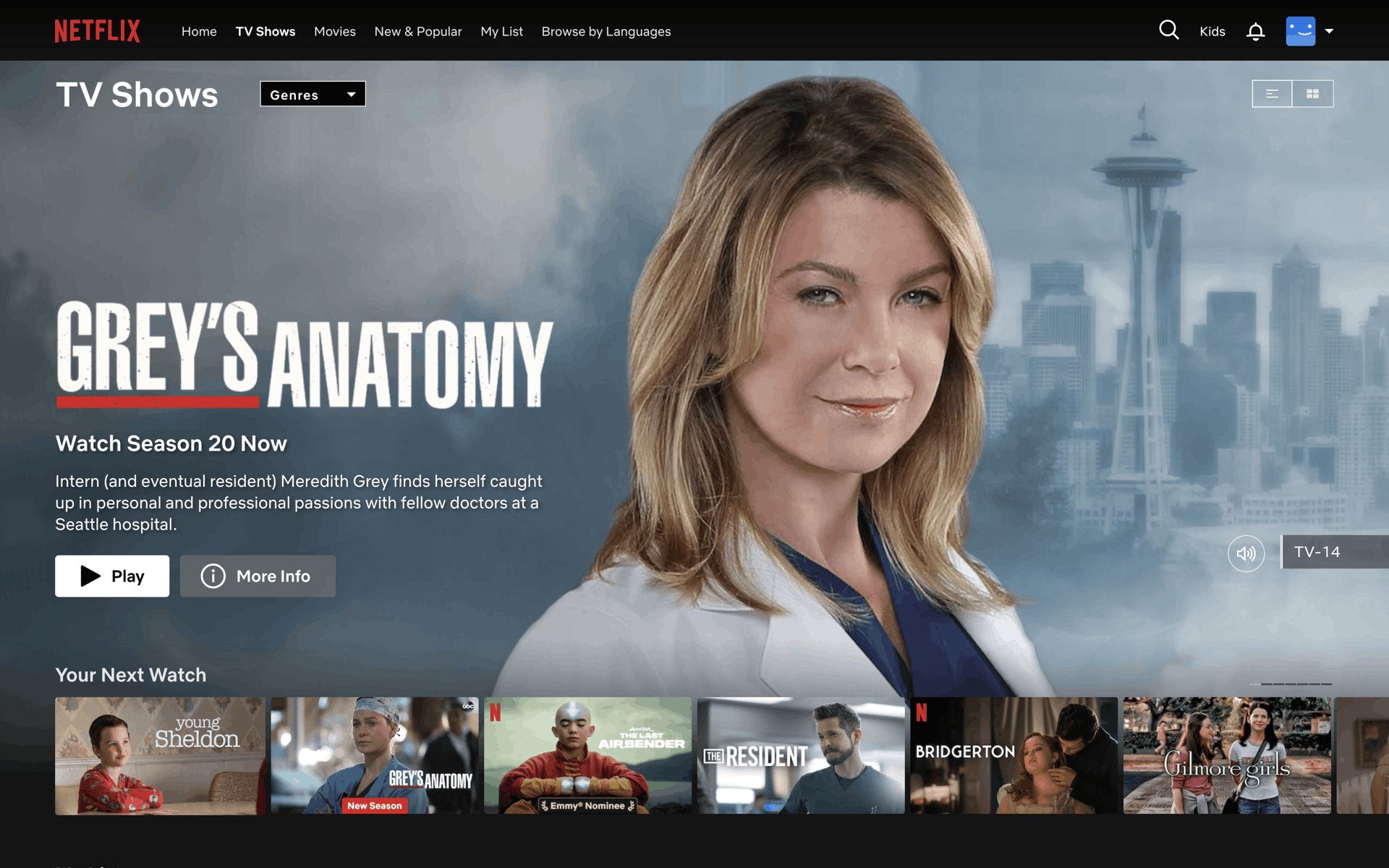 Netflix Web Entertainment interface screenshot 7