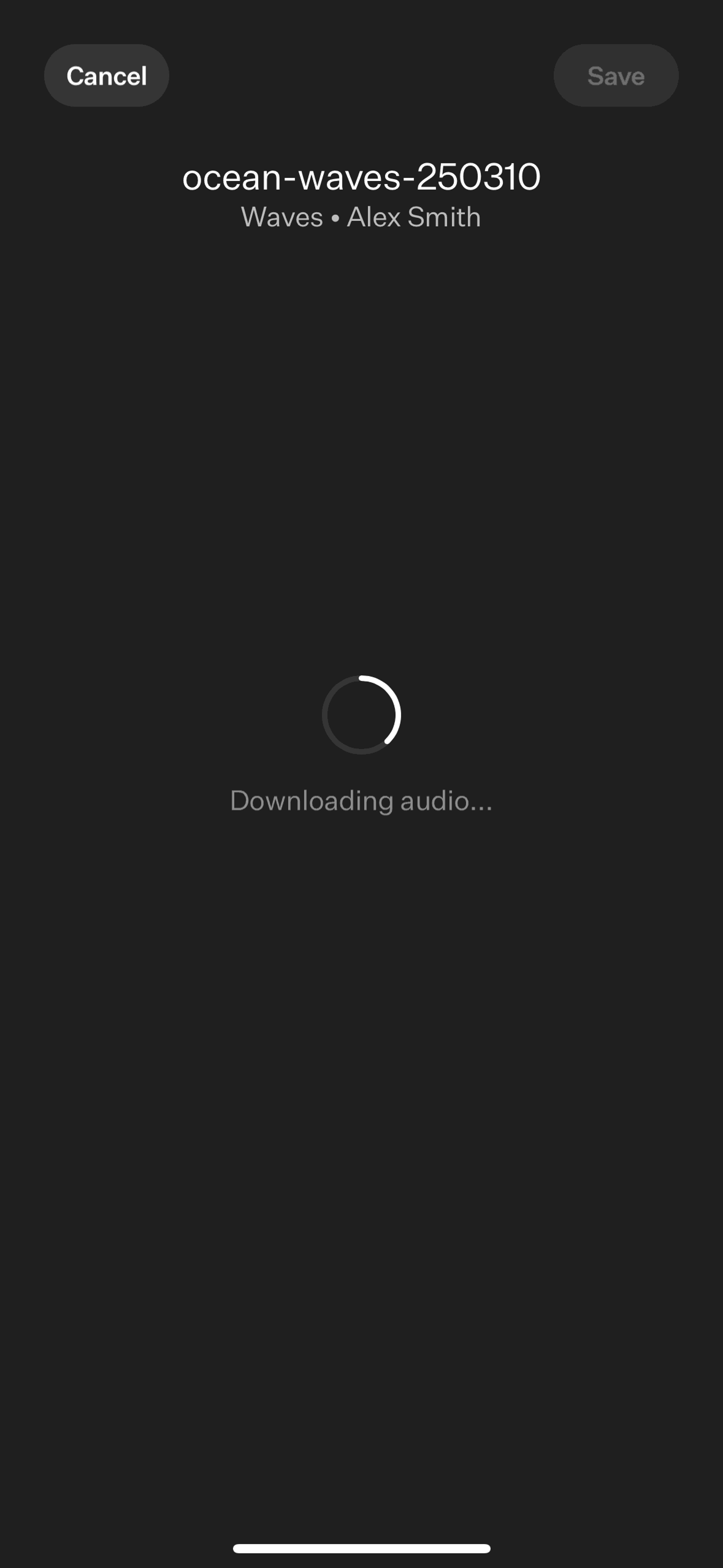 [untitled] iOS Music & Audio interface screenshot 11