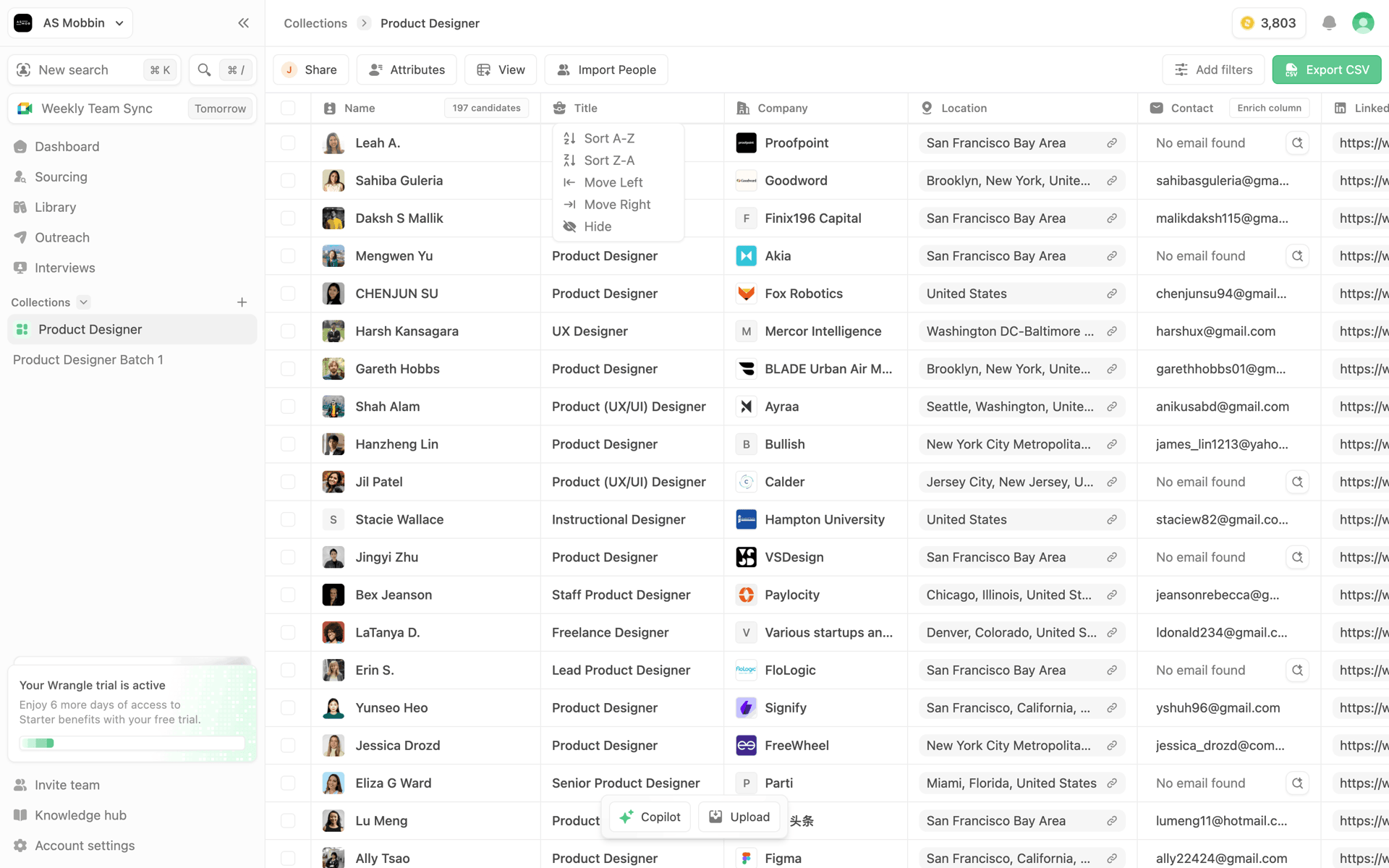 Wrangle Web AI interface screenshot 4