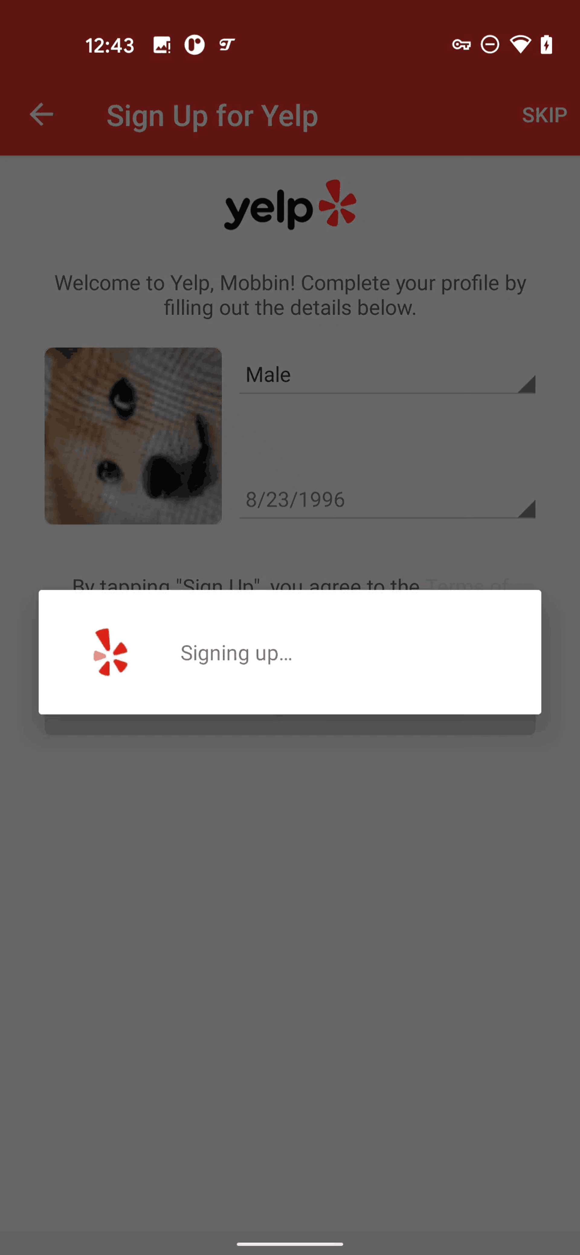 Yelp Android Food & Drink interface screenshot 16
