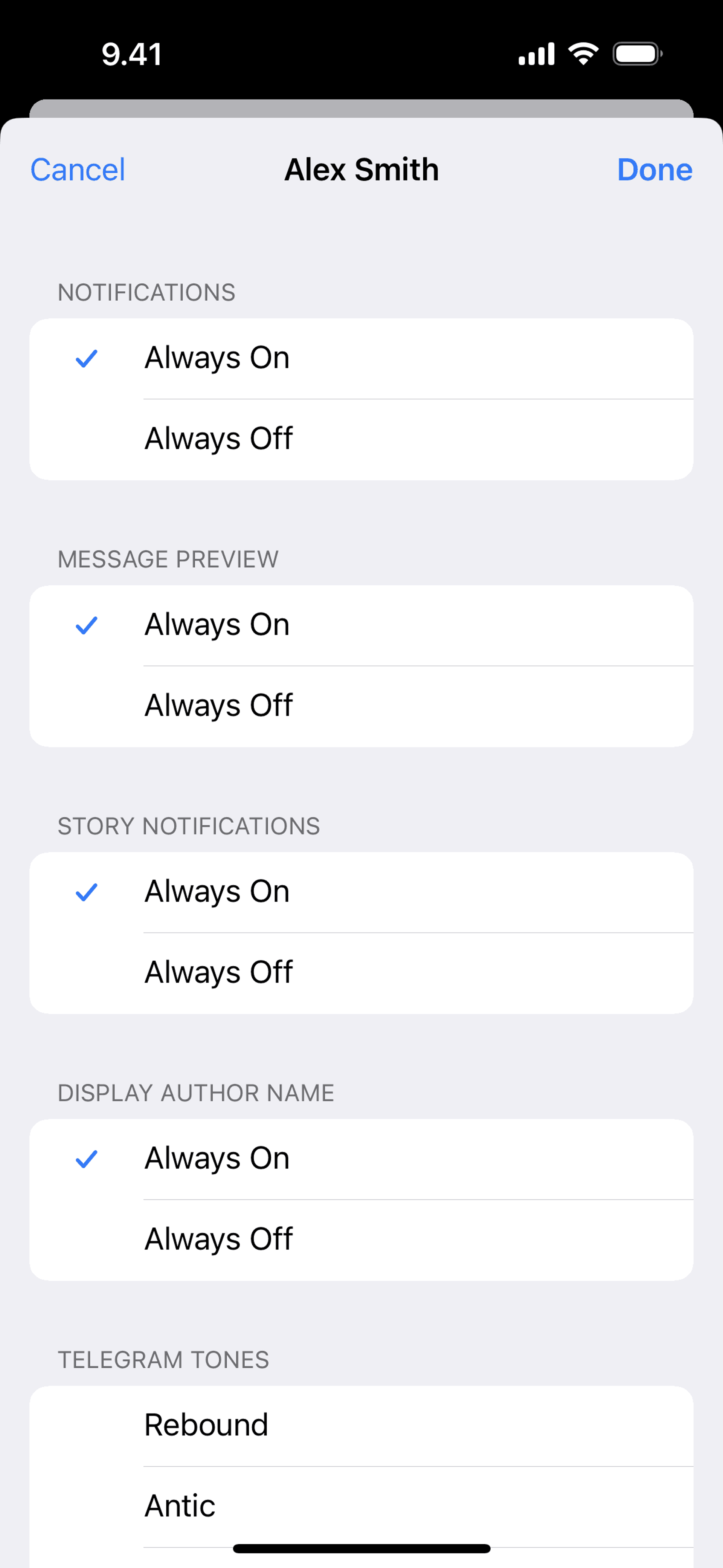 Telegram iOS Social Networking interface screenshot 12