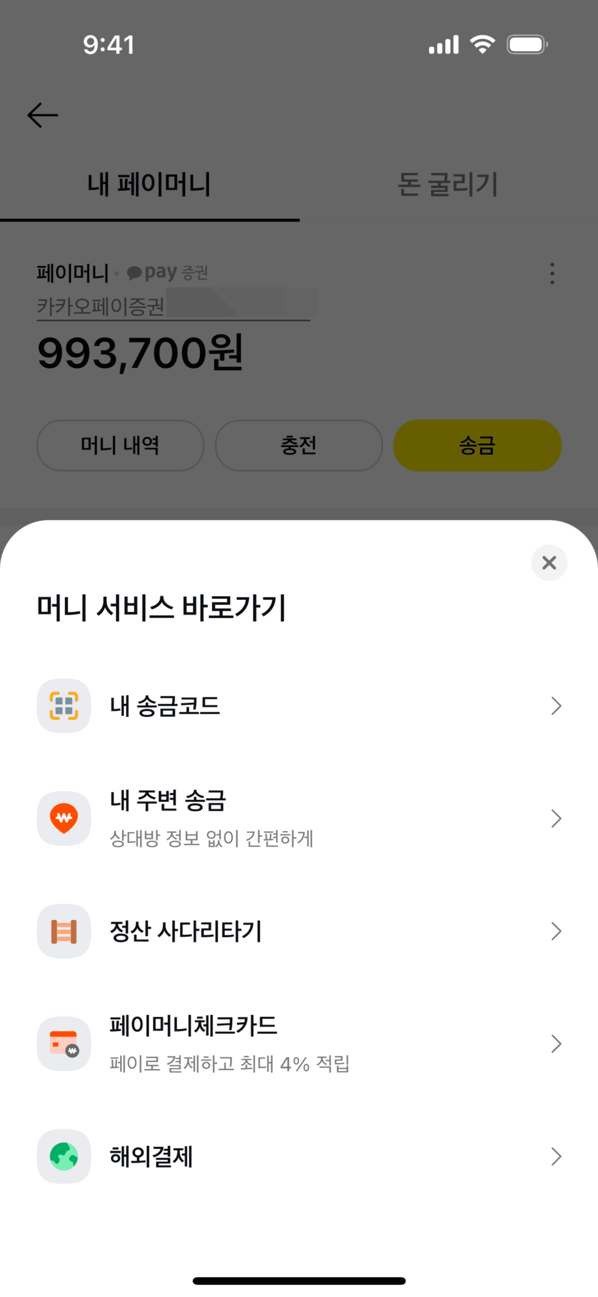 Kakao Pay iOS Finance interface screenshot 14