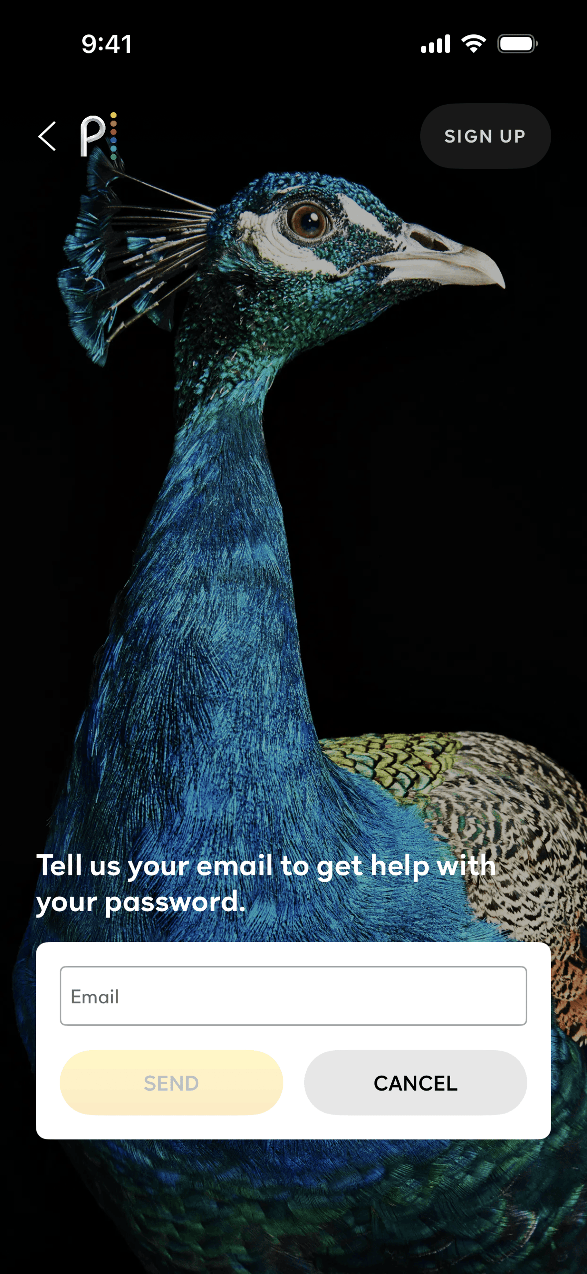 Peacock iOS Entertainment interface screenshot 14