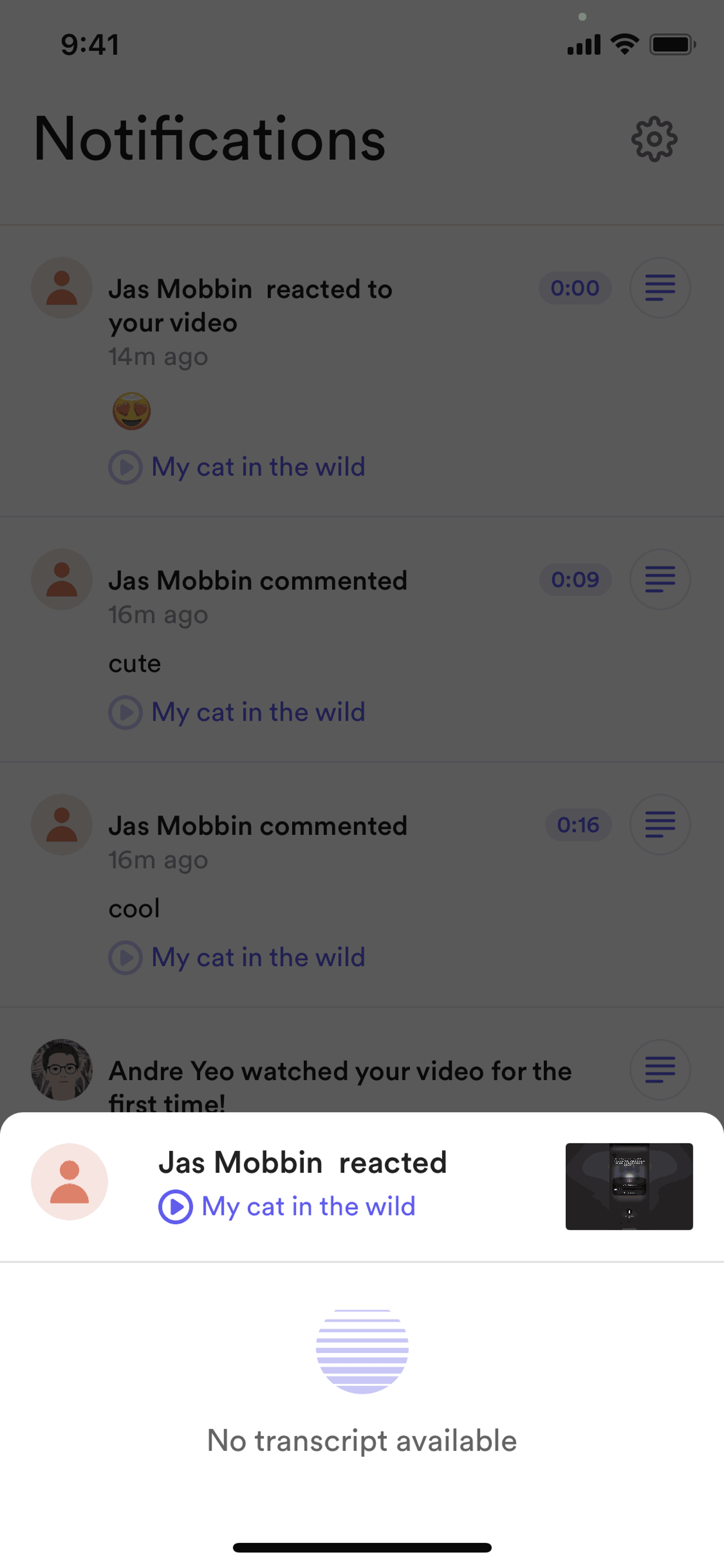 Loom iOS Photo & Video interface screenshot 18